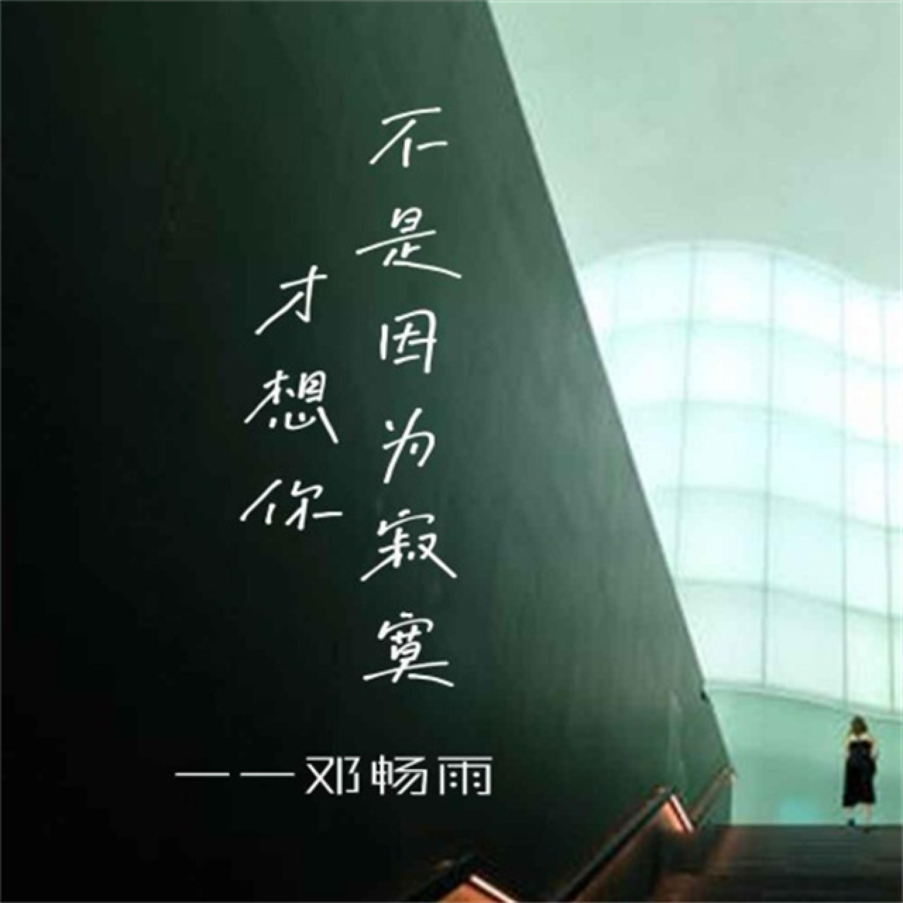 Релиз 不是因为寂寞才想你