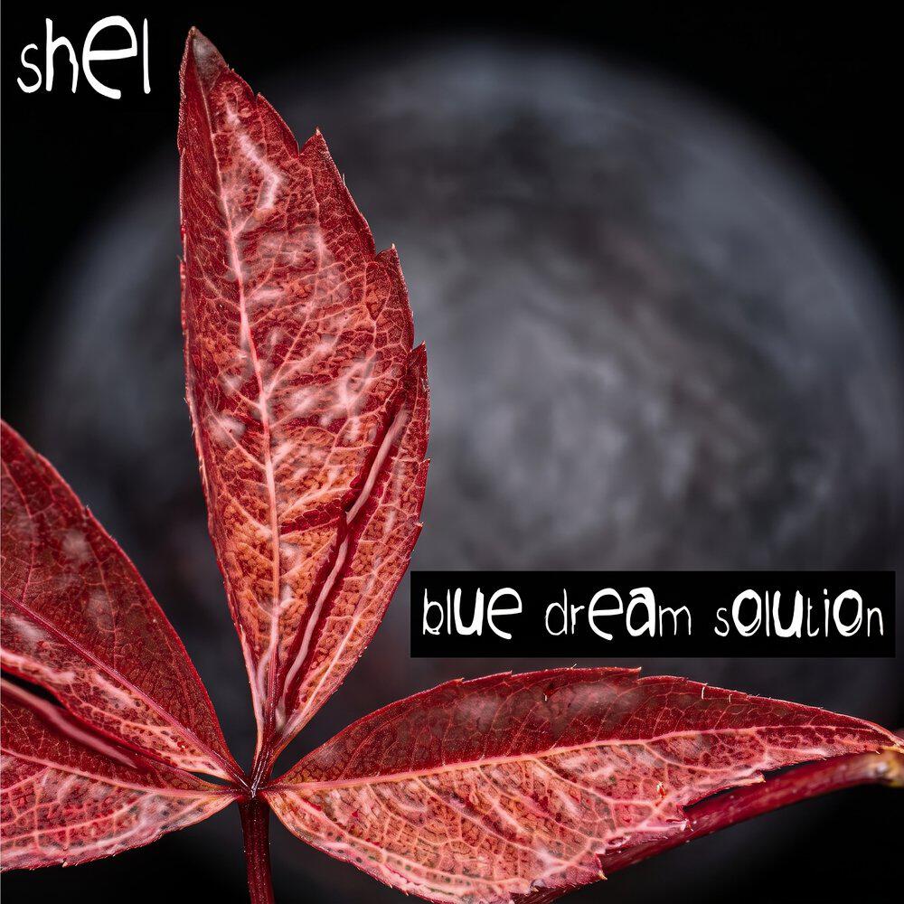 Релиз Blue Dream Solution (2026 REMASTERED)