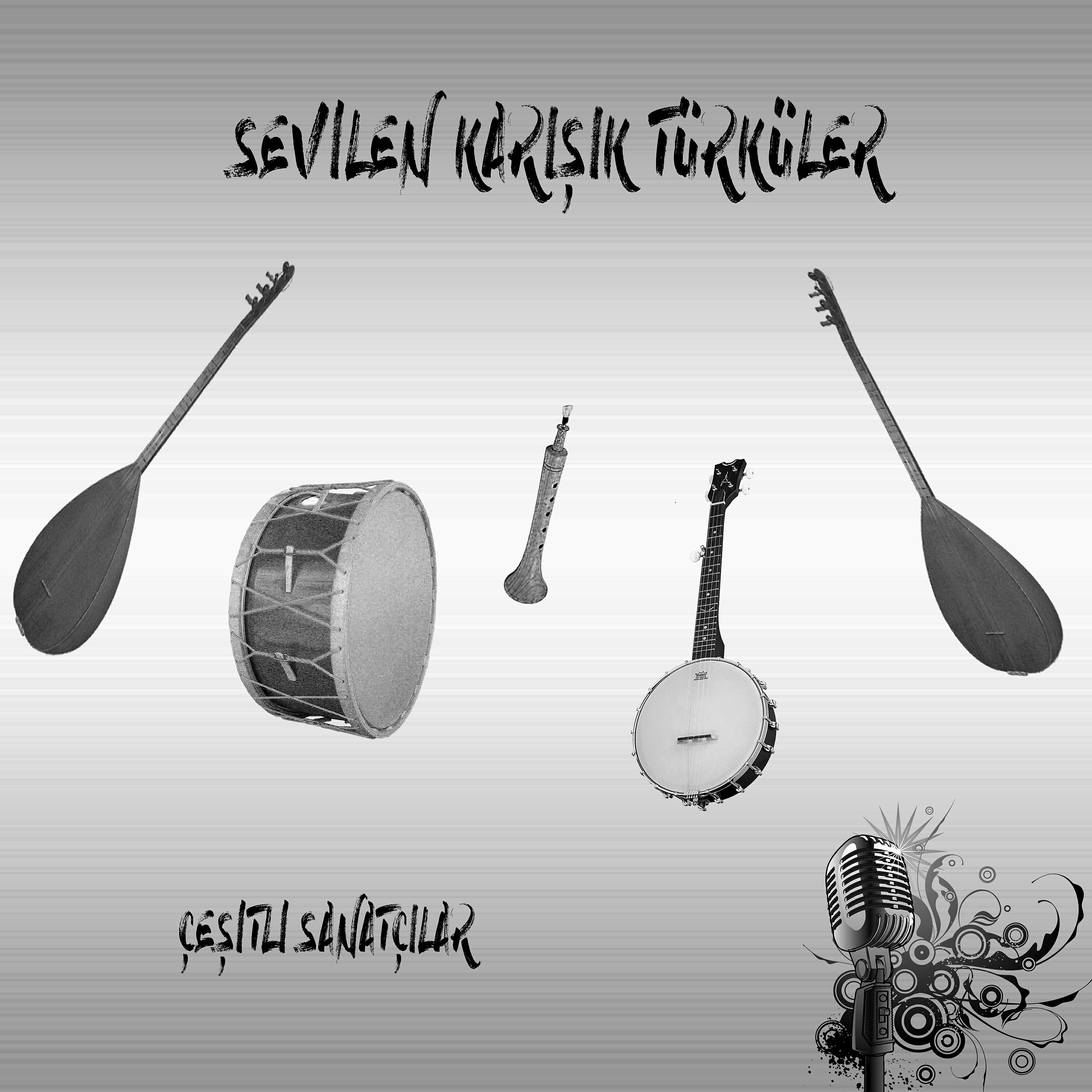 Релиз Sevilen Karışık Türküler