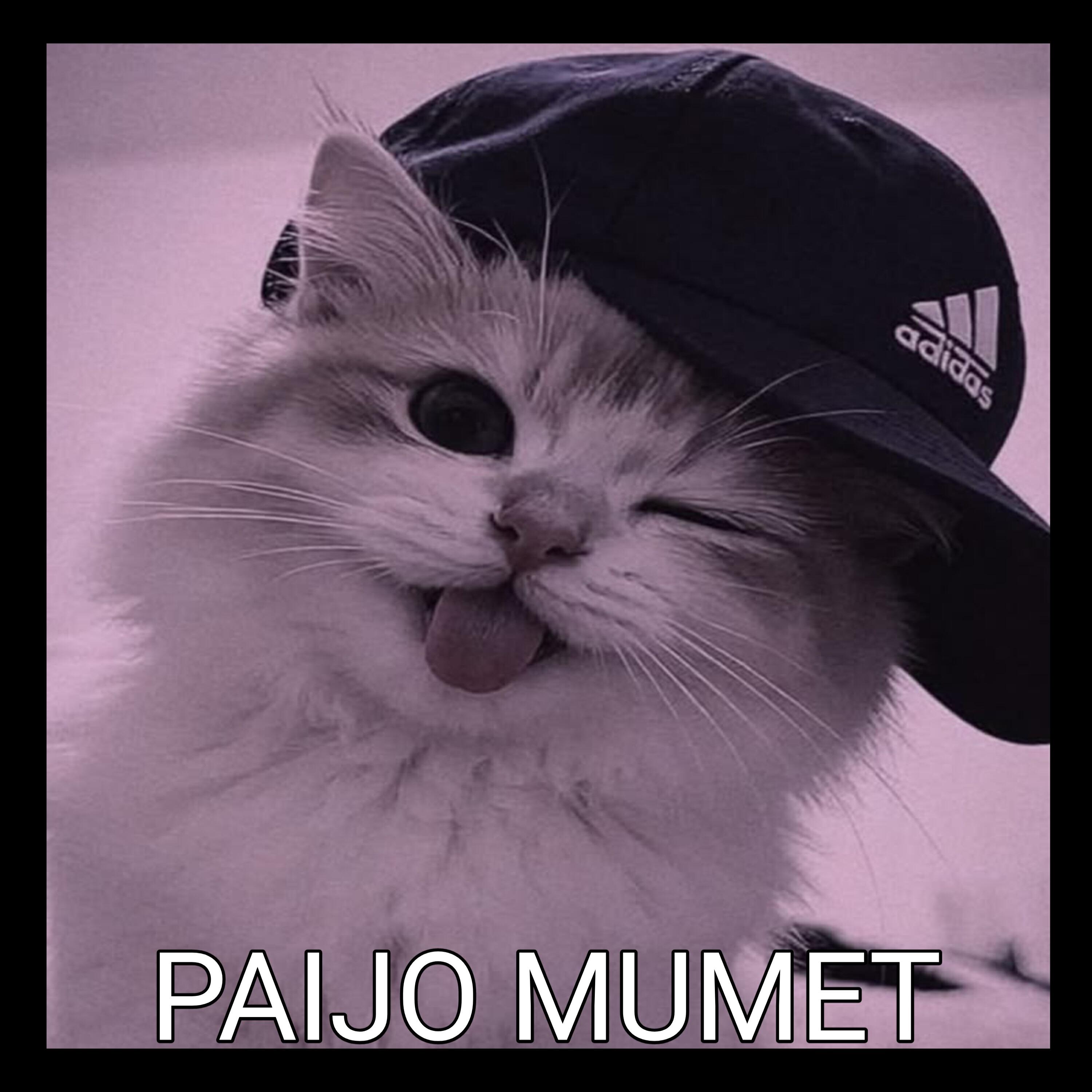 Релиз PAIJO MUMET
