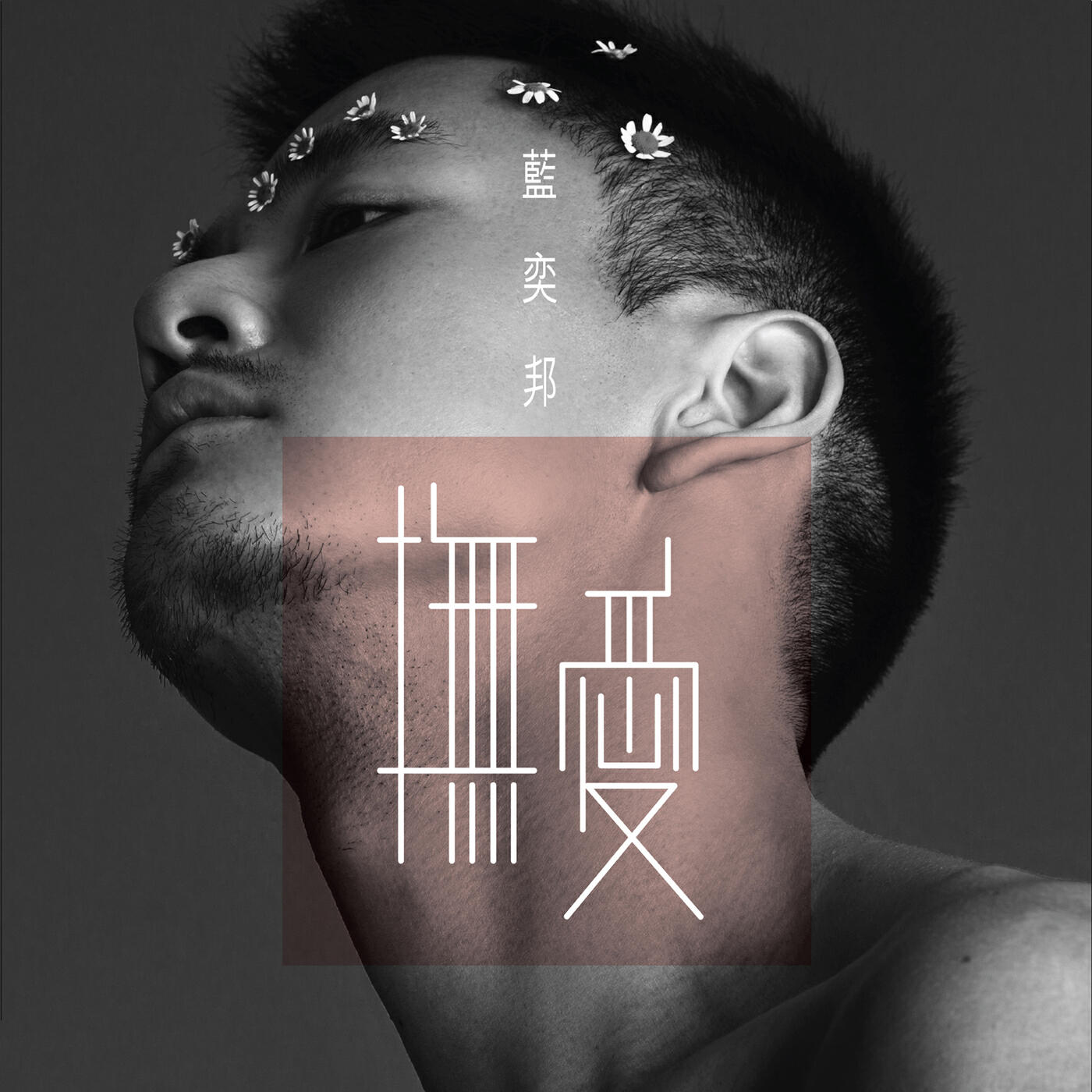 Релиз Fu Ai