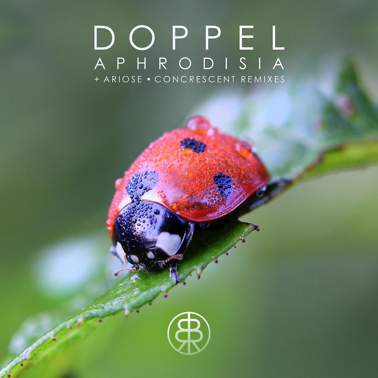 Релиз Aphrodisia