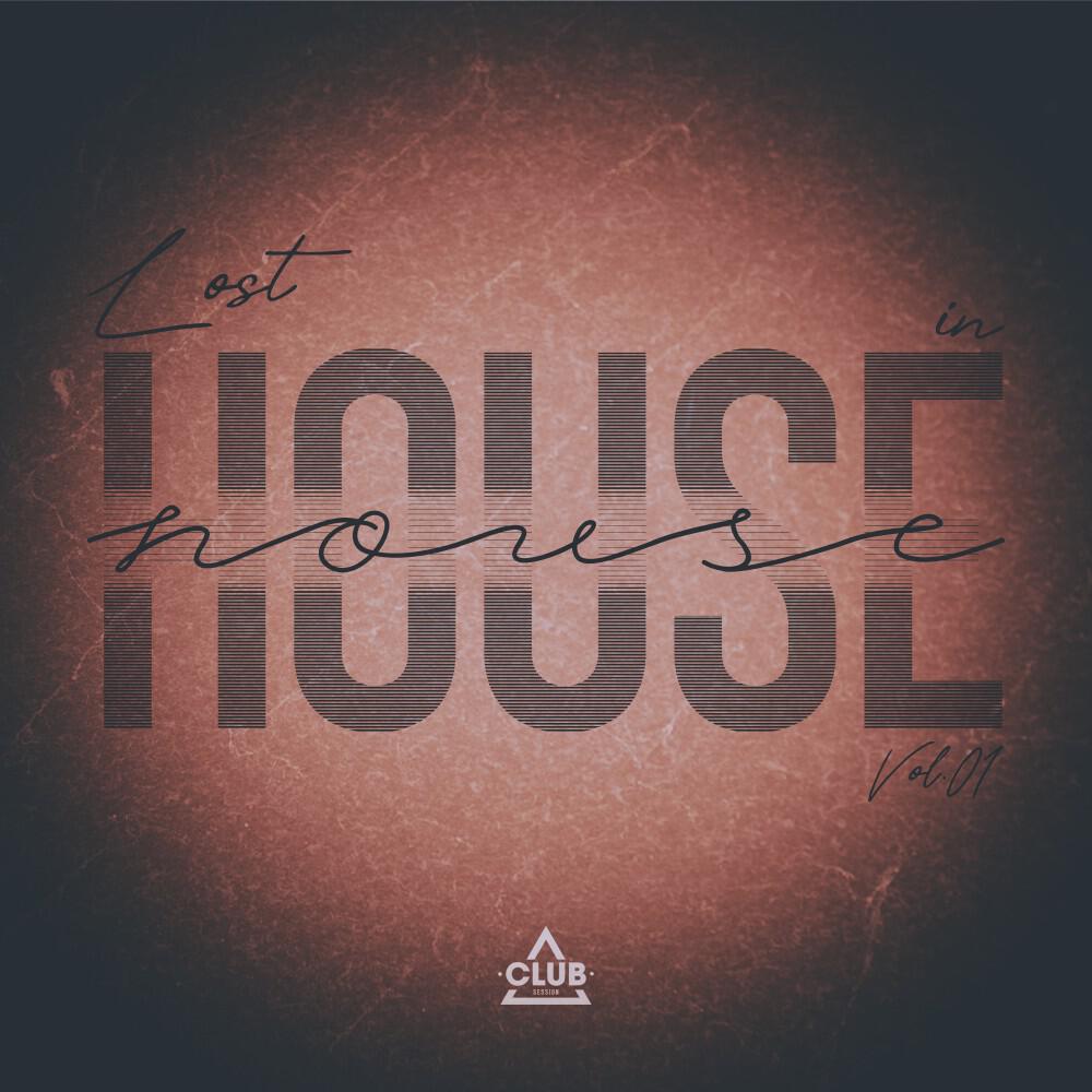 Релиз Lost in House, Vol.01