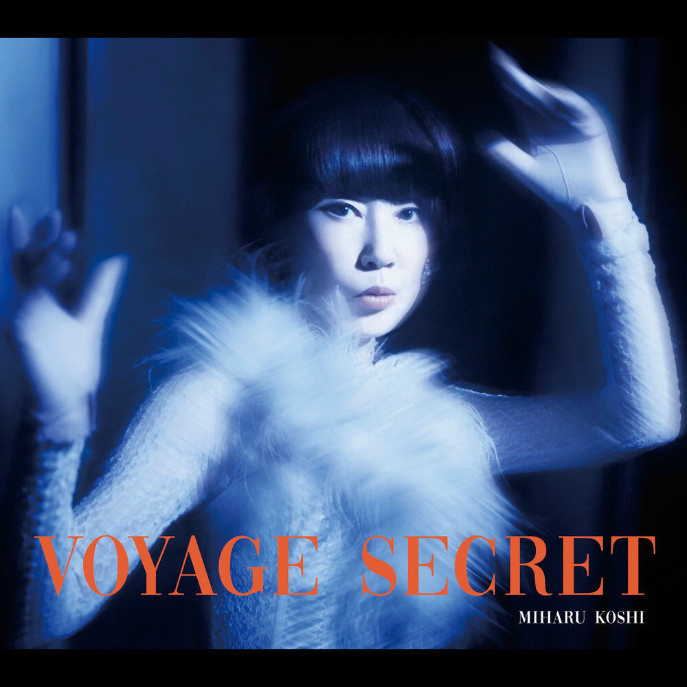 Релиз 秘密の旅 〜Voyage secret〜