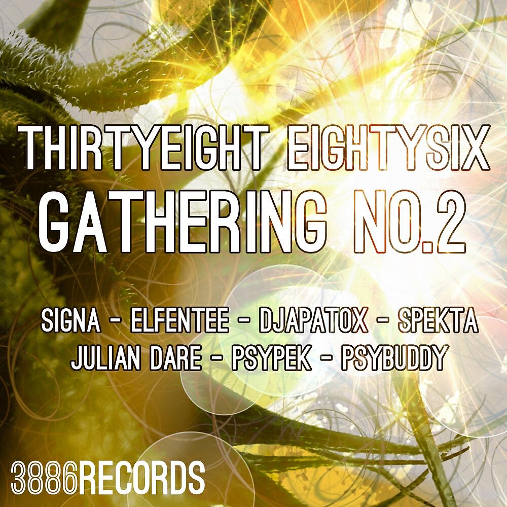 Постер альбома Thirtyeight Eightysix Gathering No.2