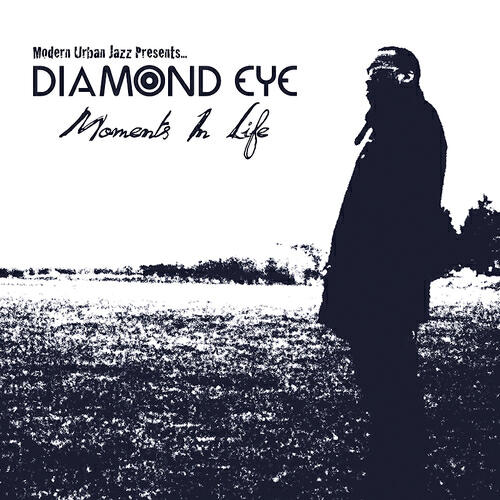 Релиз Moments In Life