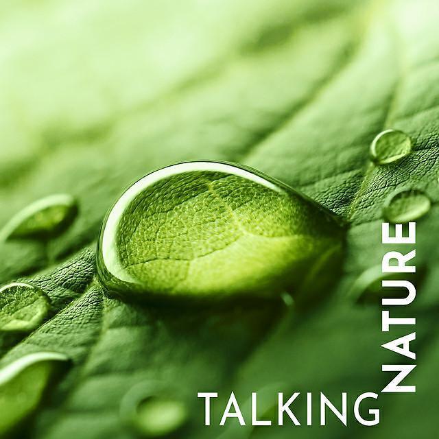 Relaxation Meditation Songs Divine все песни в mp3