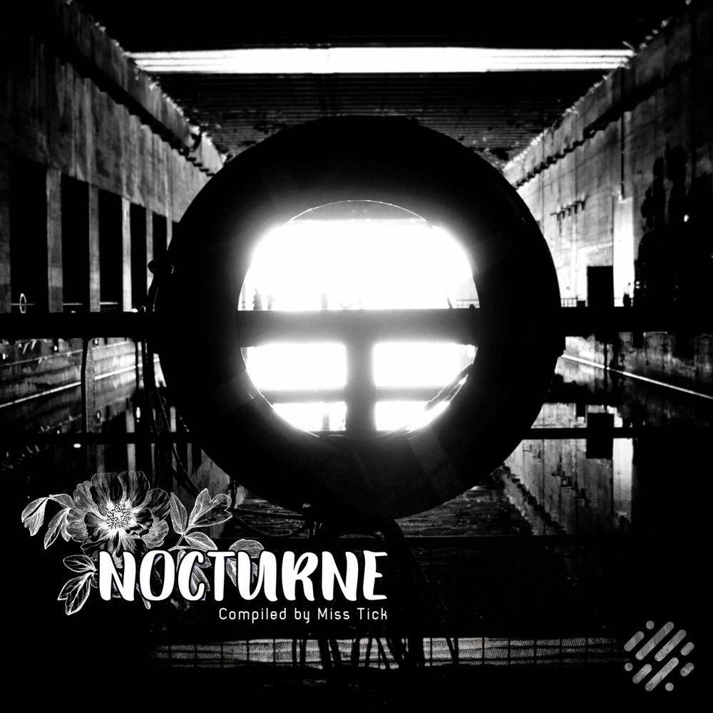 Релиз Nocturne