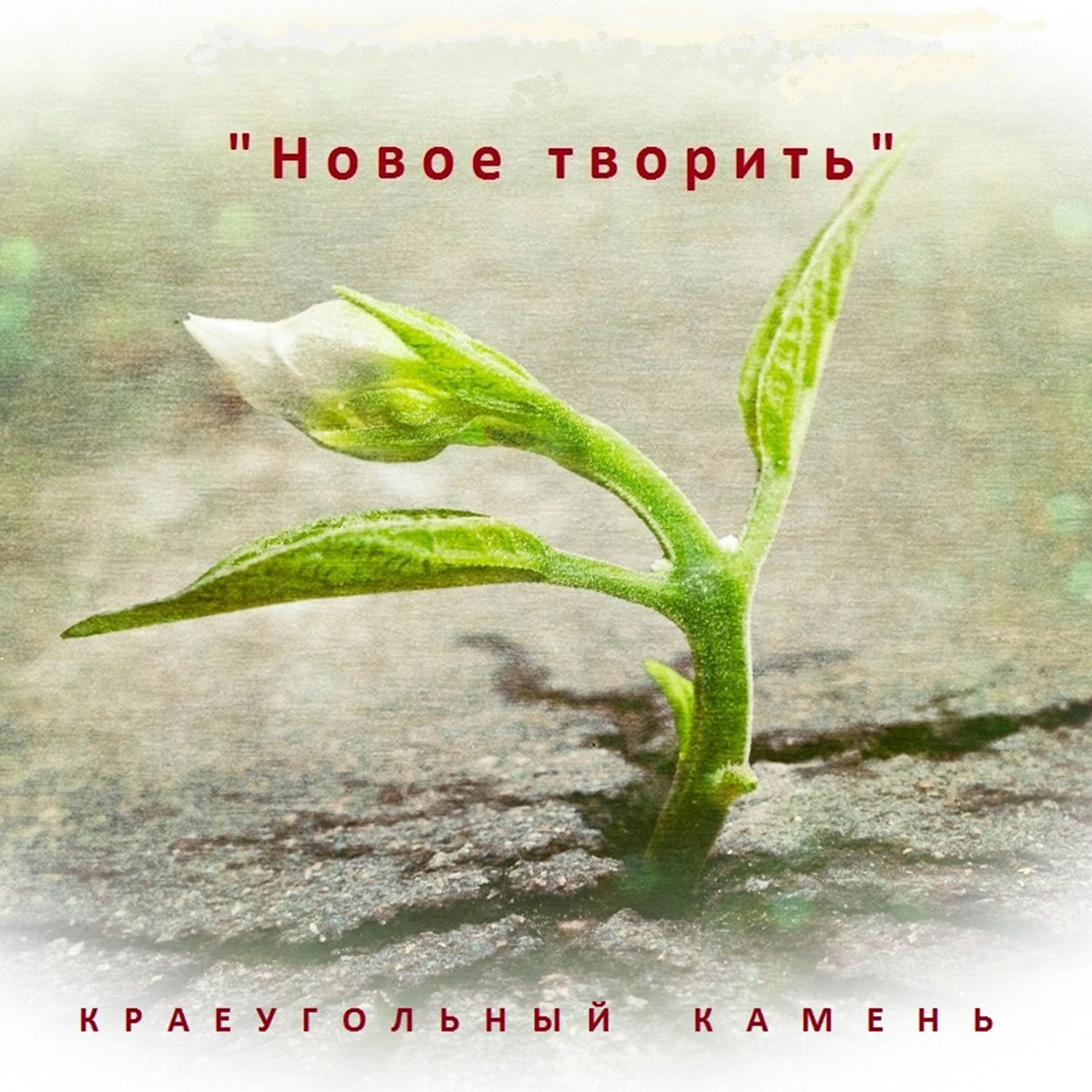 Релиз Новое творить