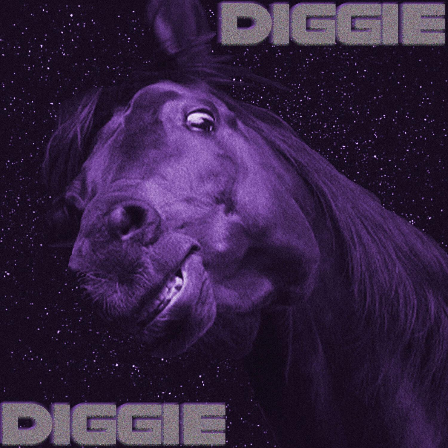 Релиз DIGGIE DIGGIE