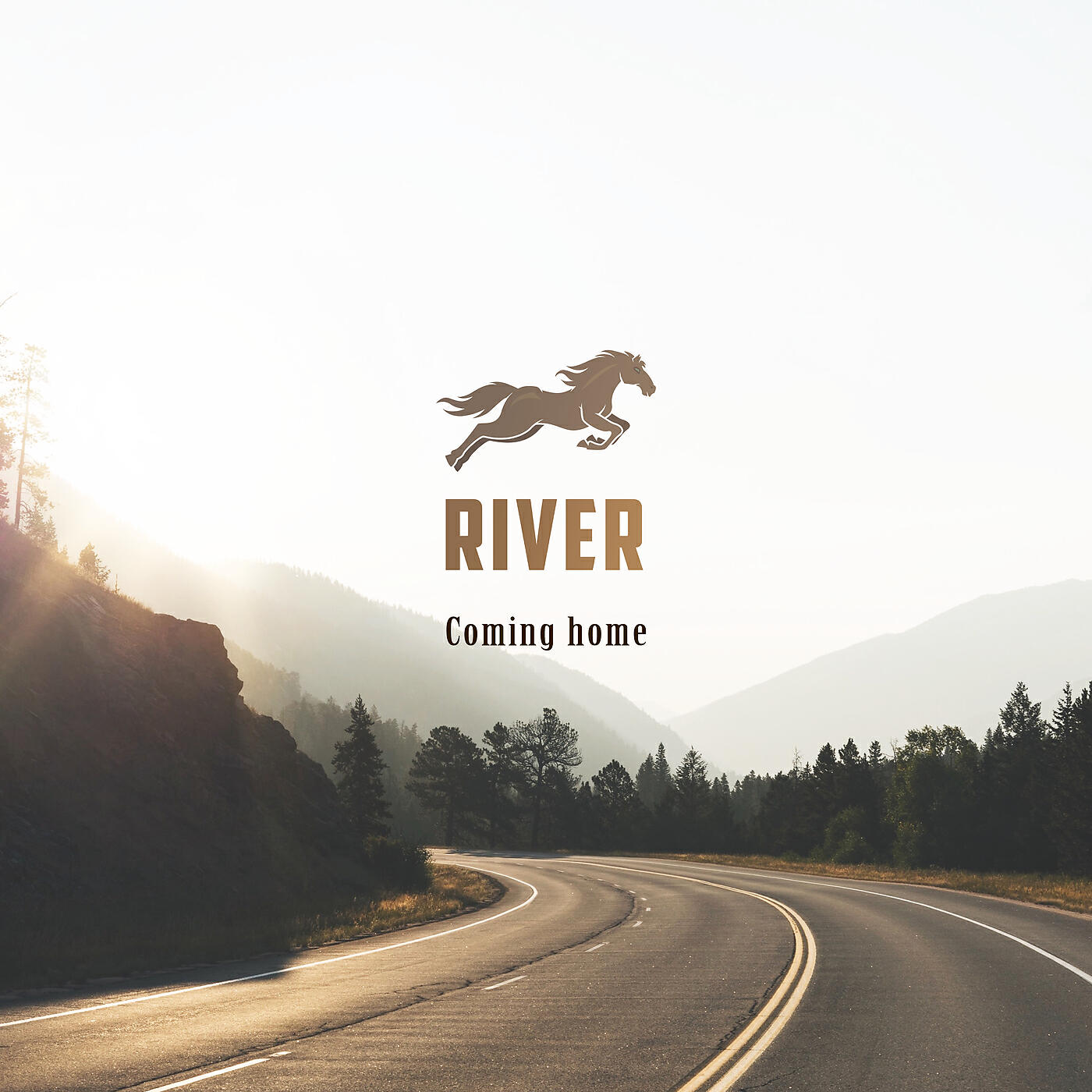 Релиз Coming Home