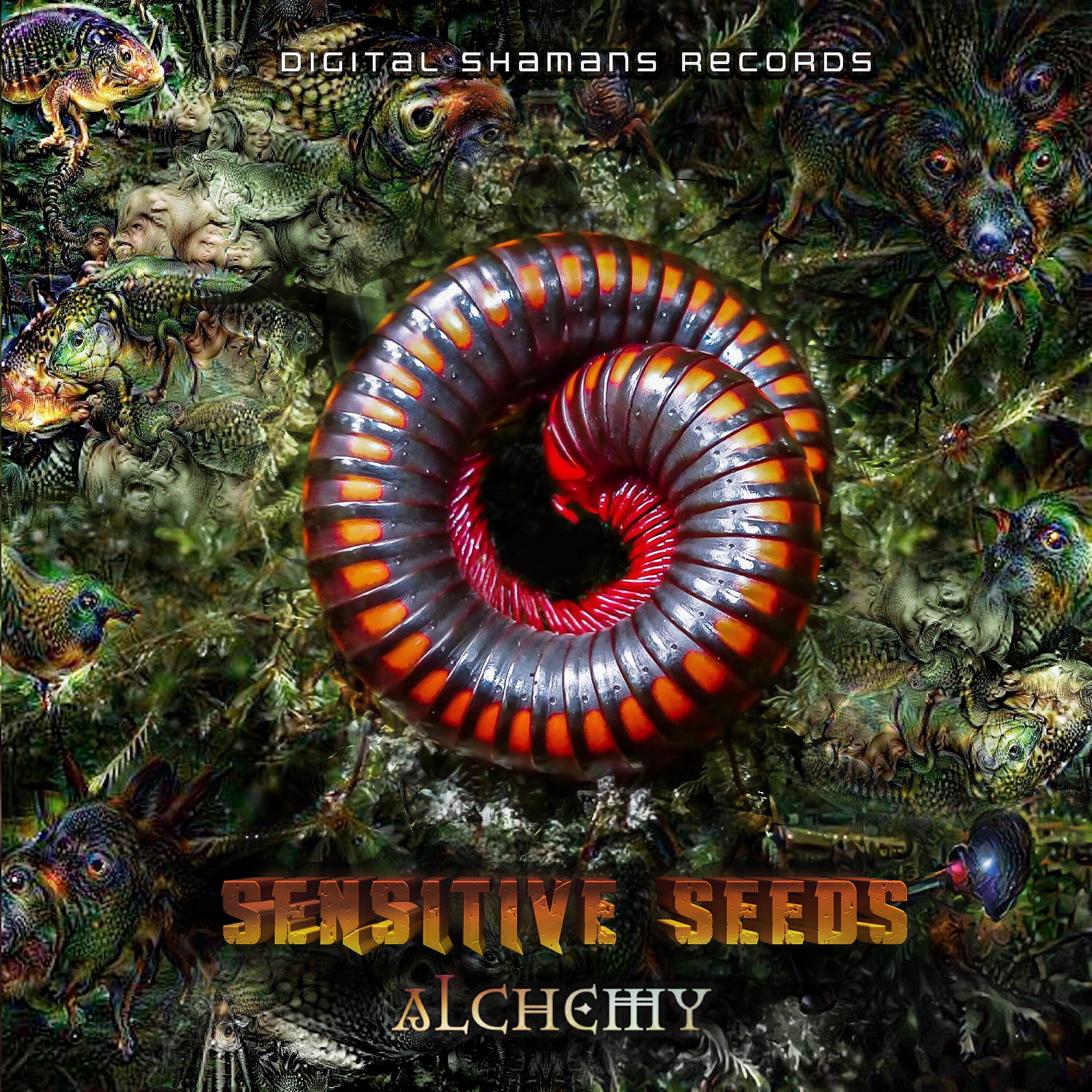 Релиз Alchemy EP