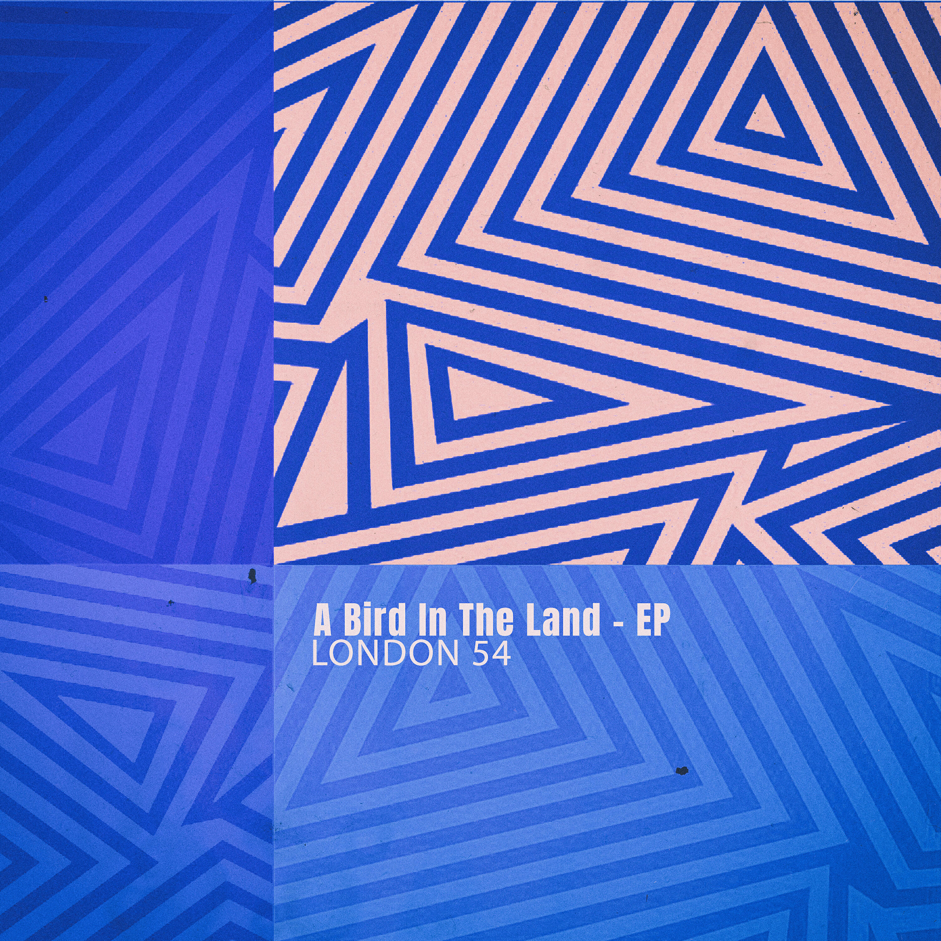 Релиз A Bird in the Land - EP