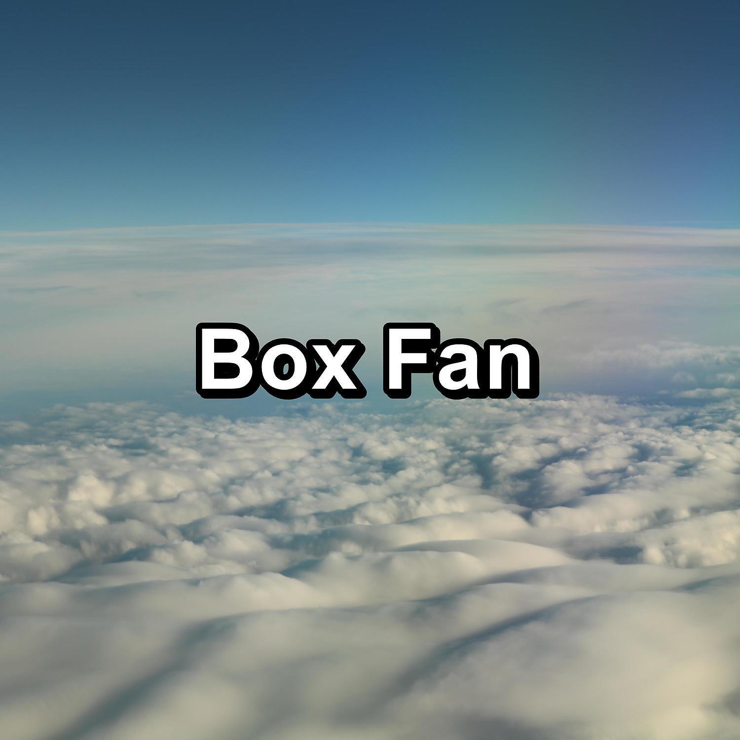 Релиз Box Fan