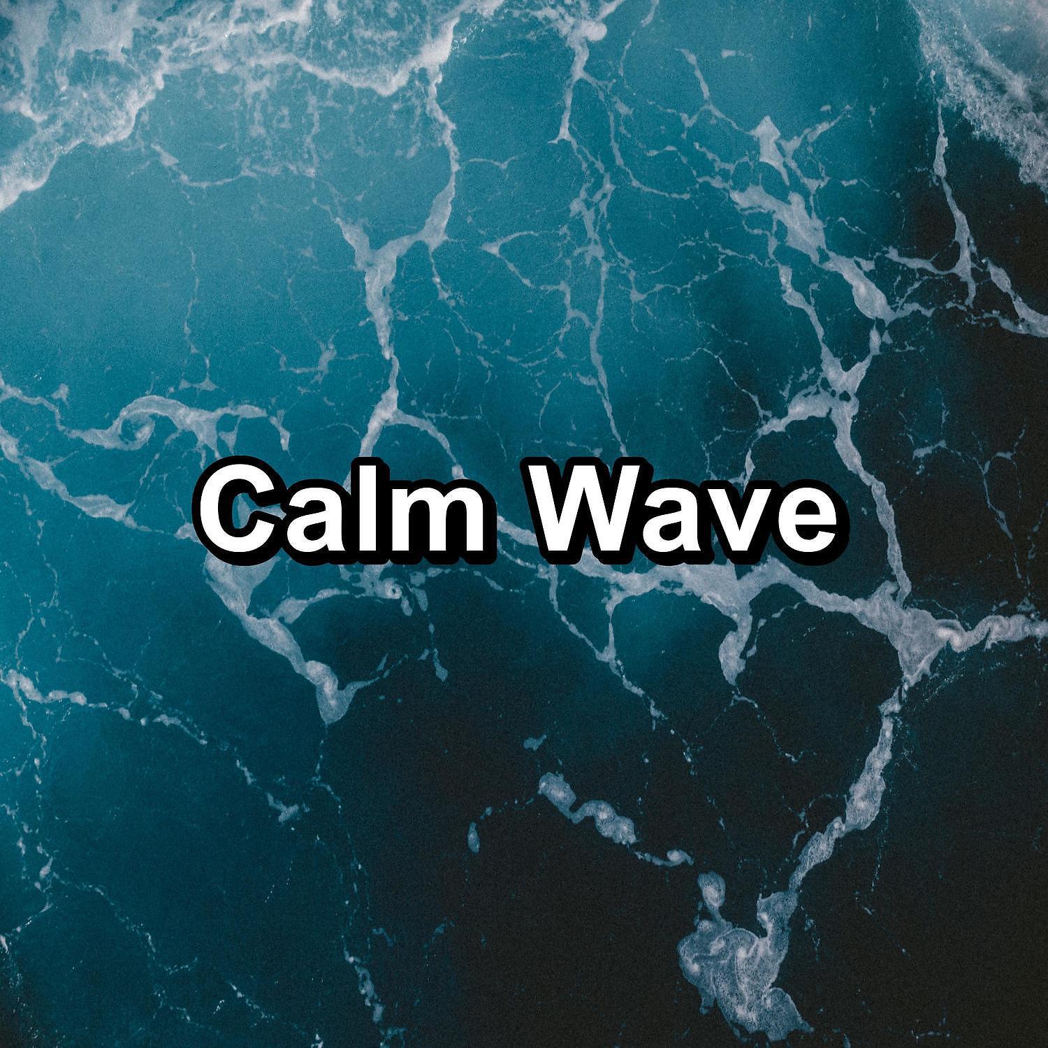 Релиз Calm Wave