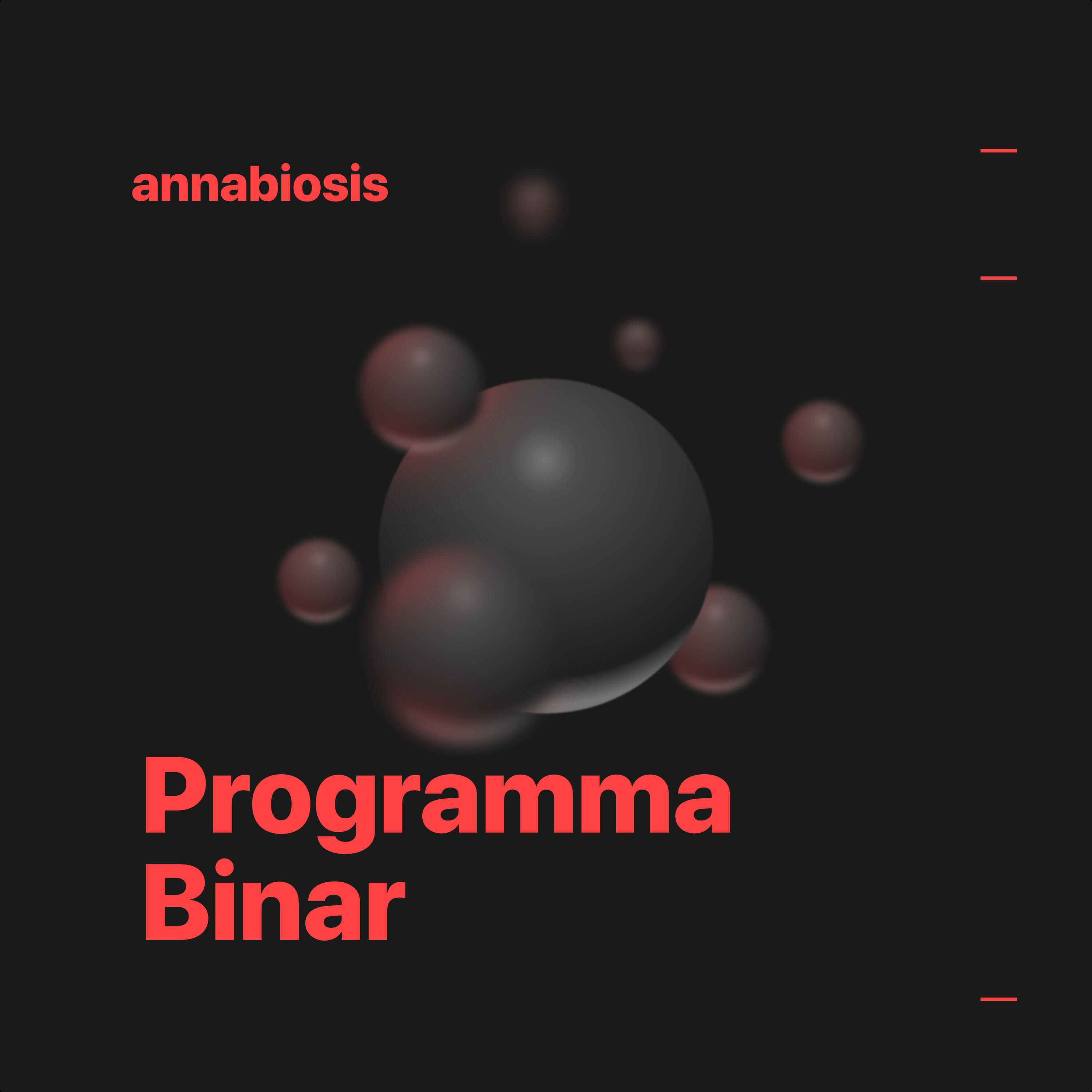 Релиз Programma Binar