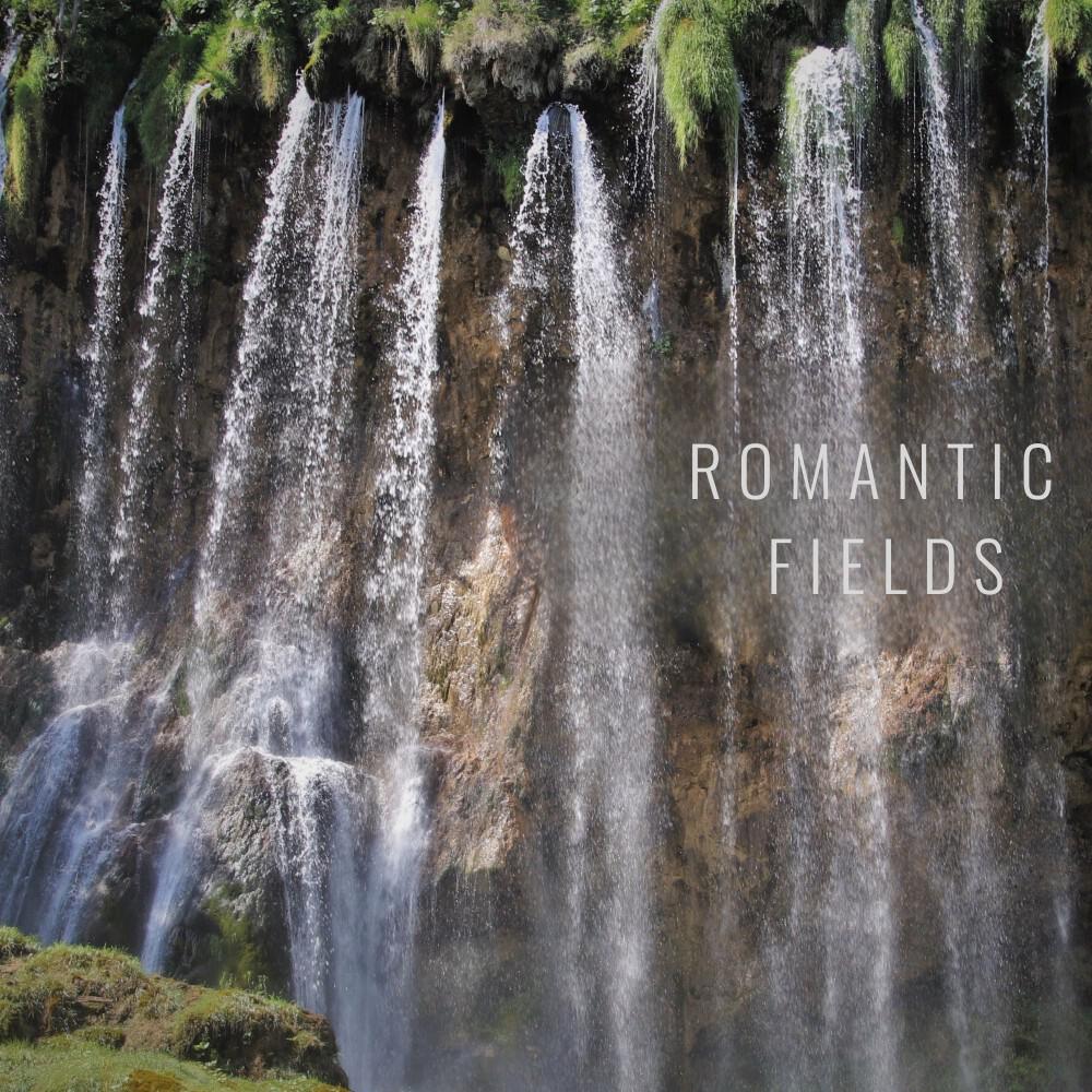 Релиз Romantic Fields