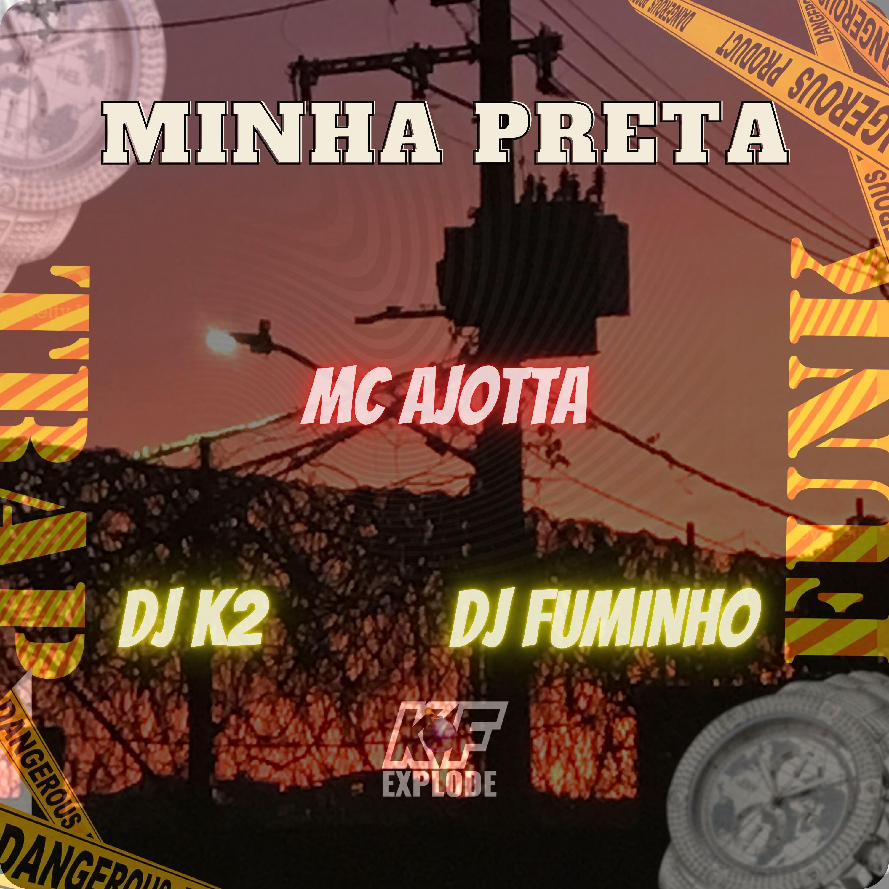 Постер альбома Minha Preta