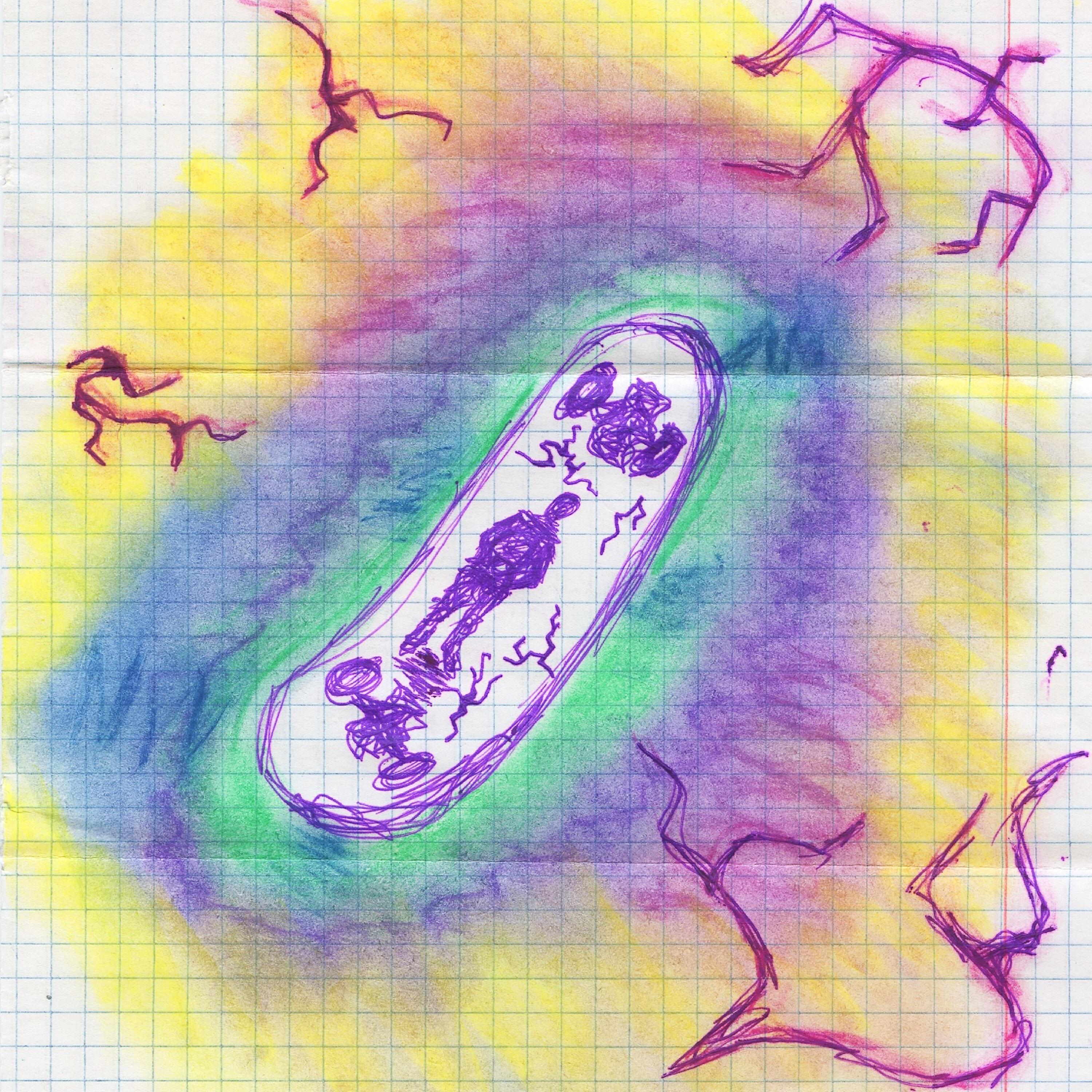 360 дней весны