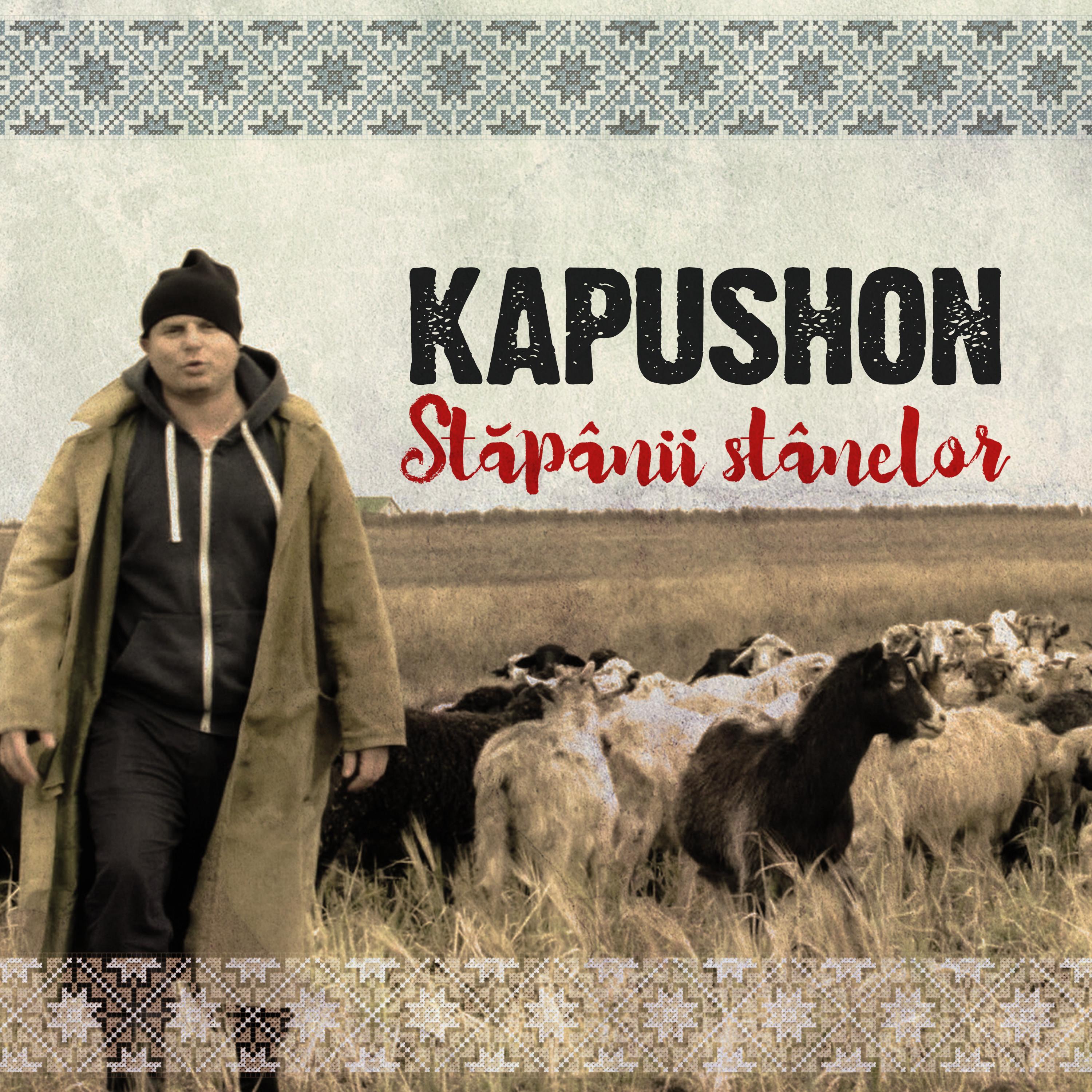 Релиз Stapanii Stanelor