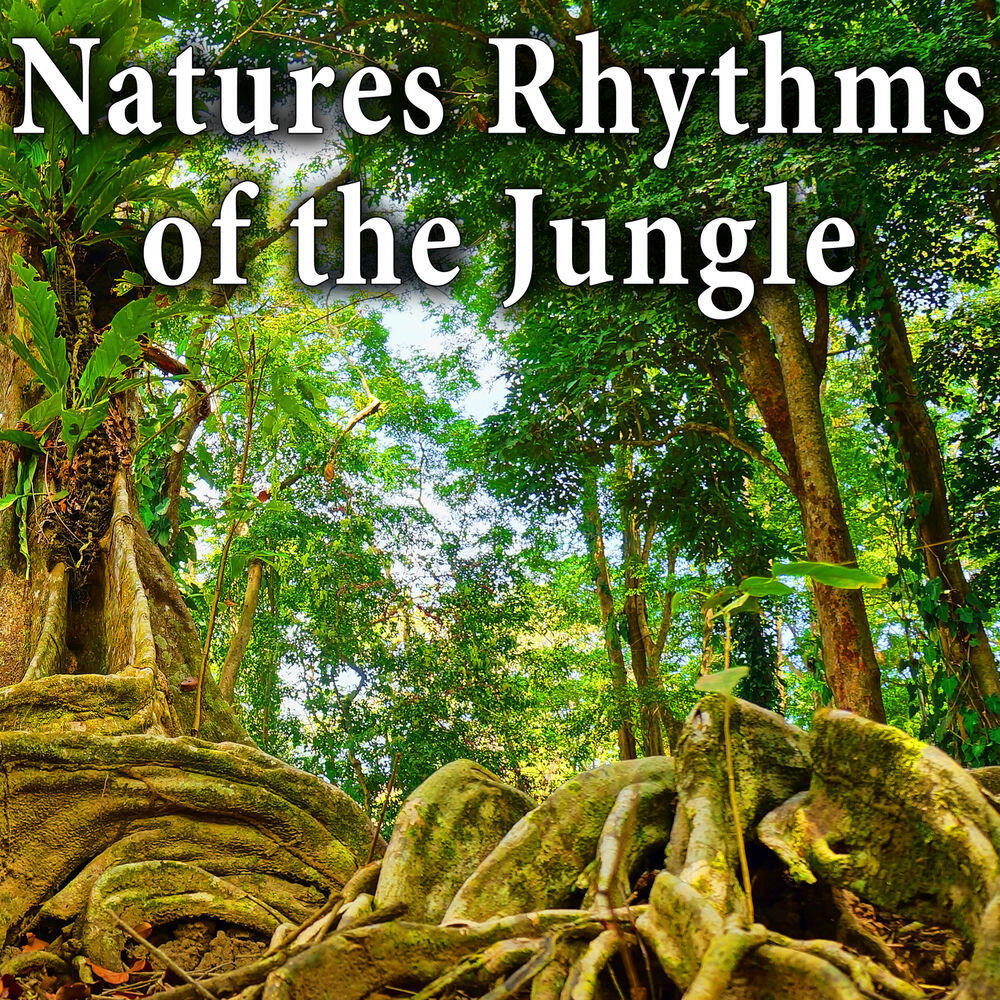 Релиз Natures Rhythms of the Jungle