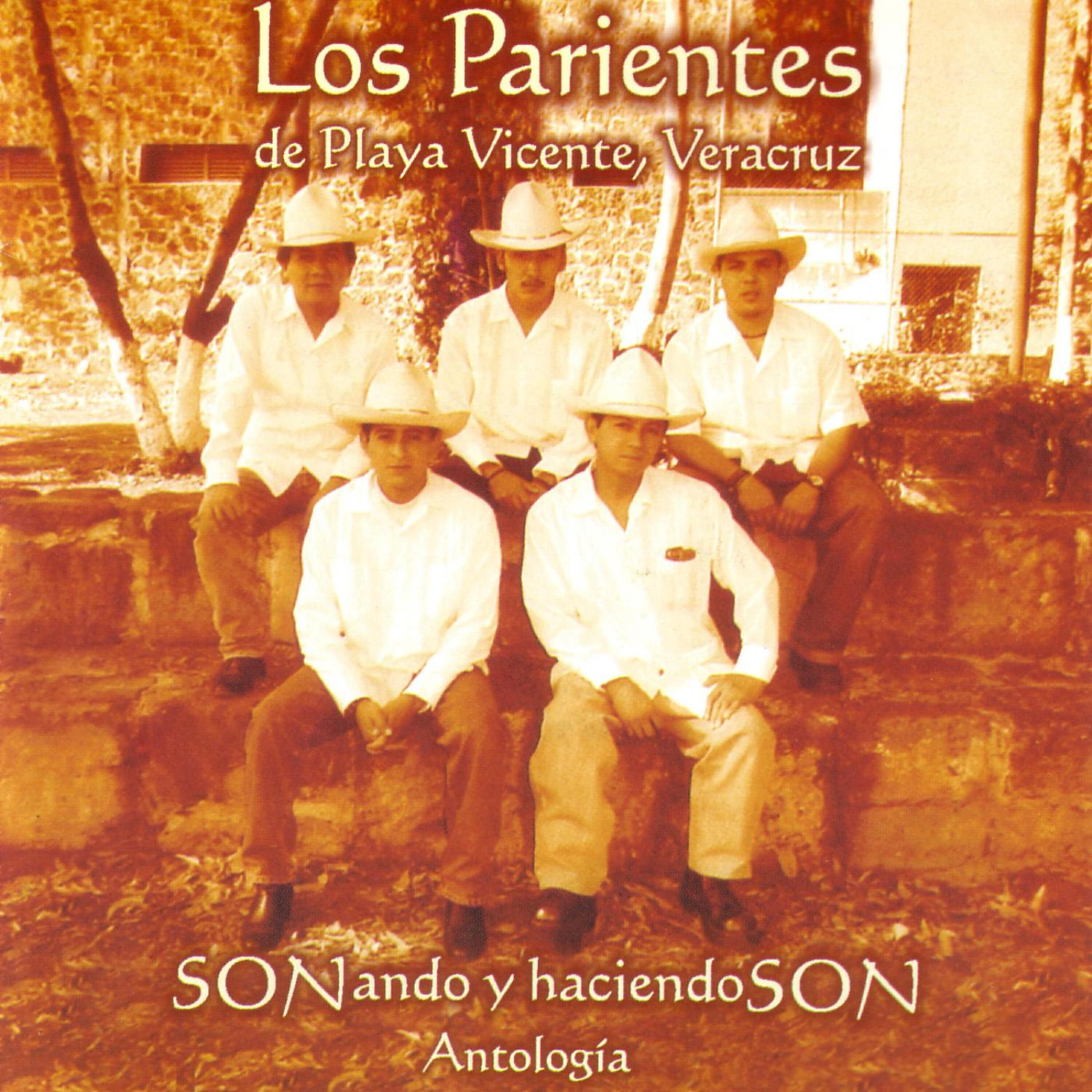 Los Parientes De Playa Vicente
