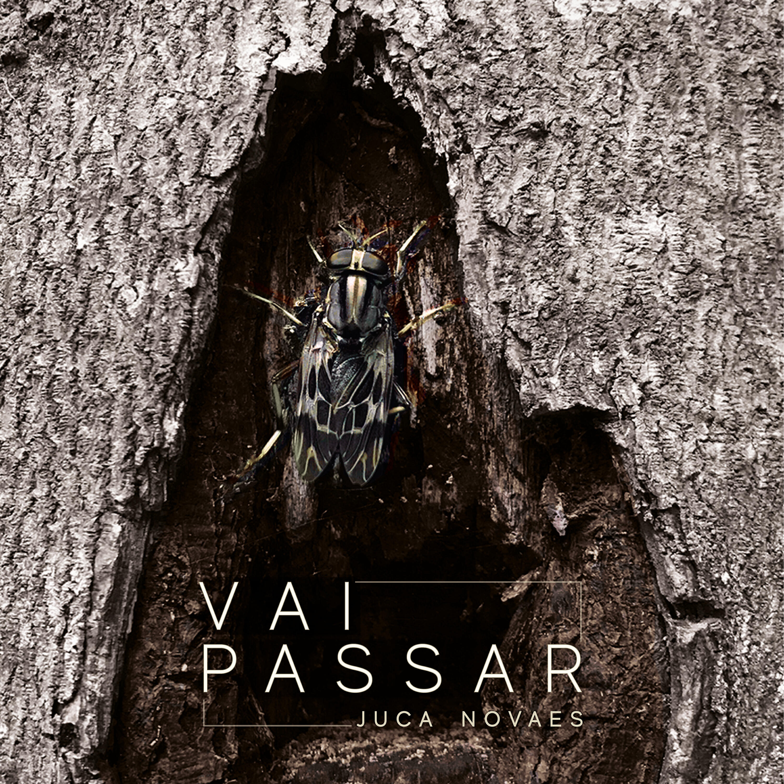 Релиз Vai Passar