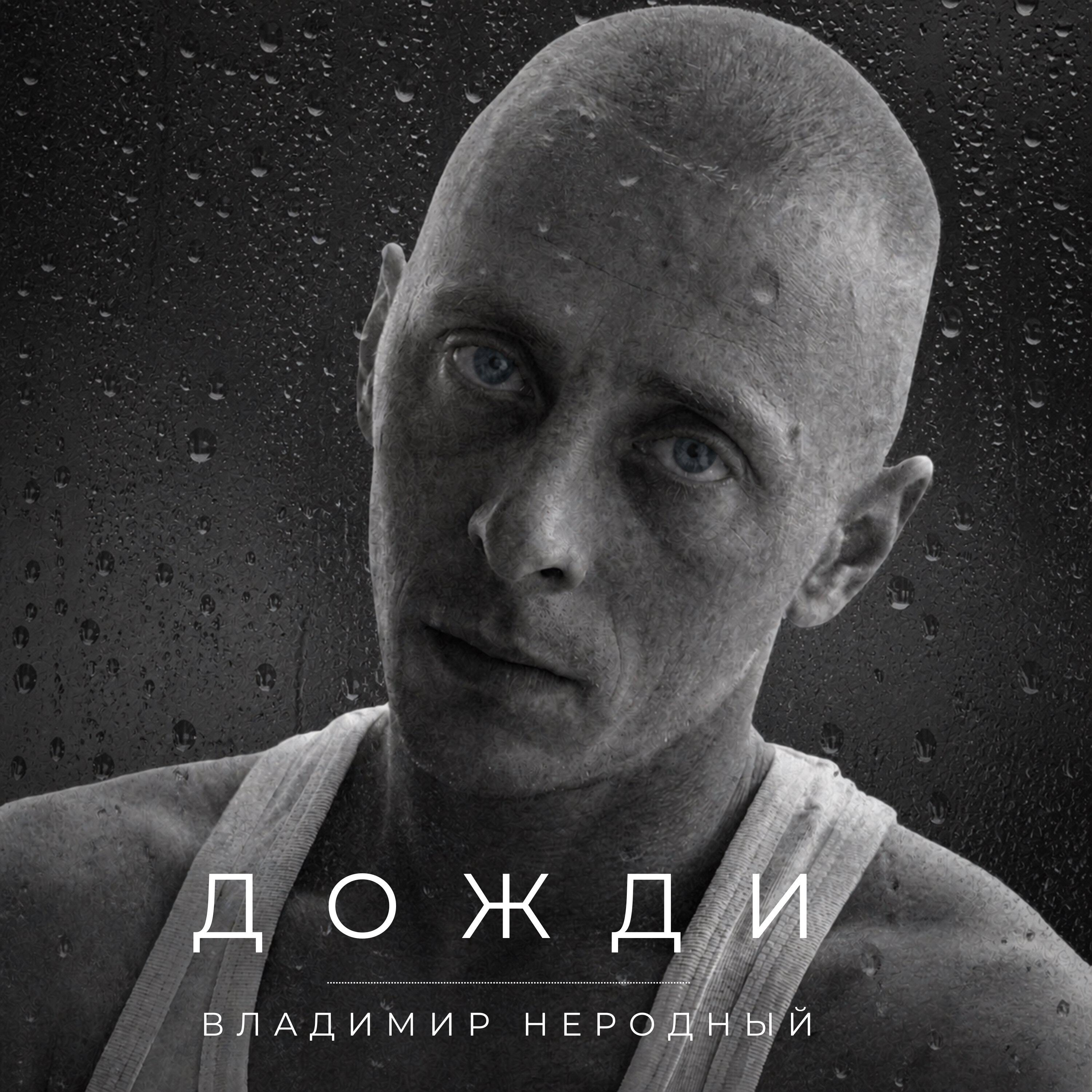Владимир Неродный