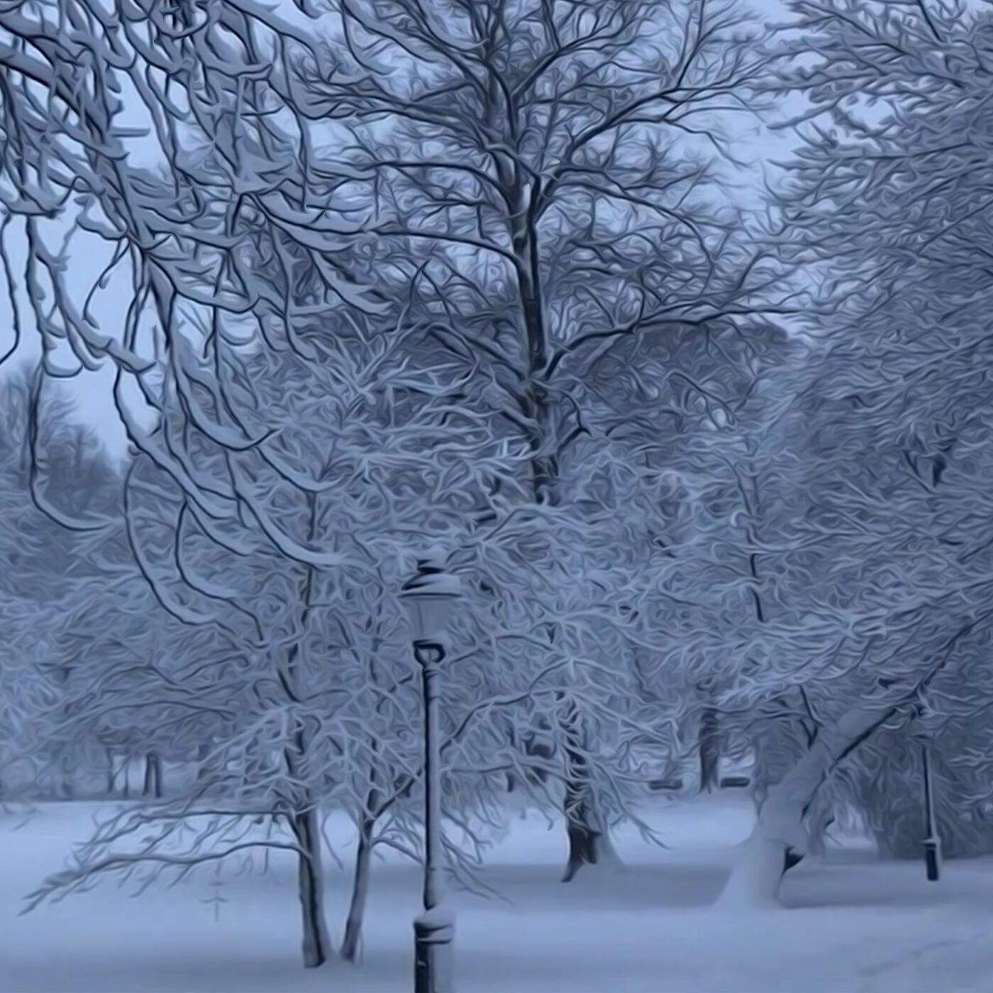 Релиз Winter Rose