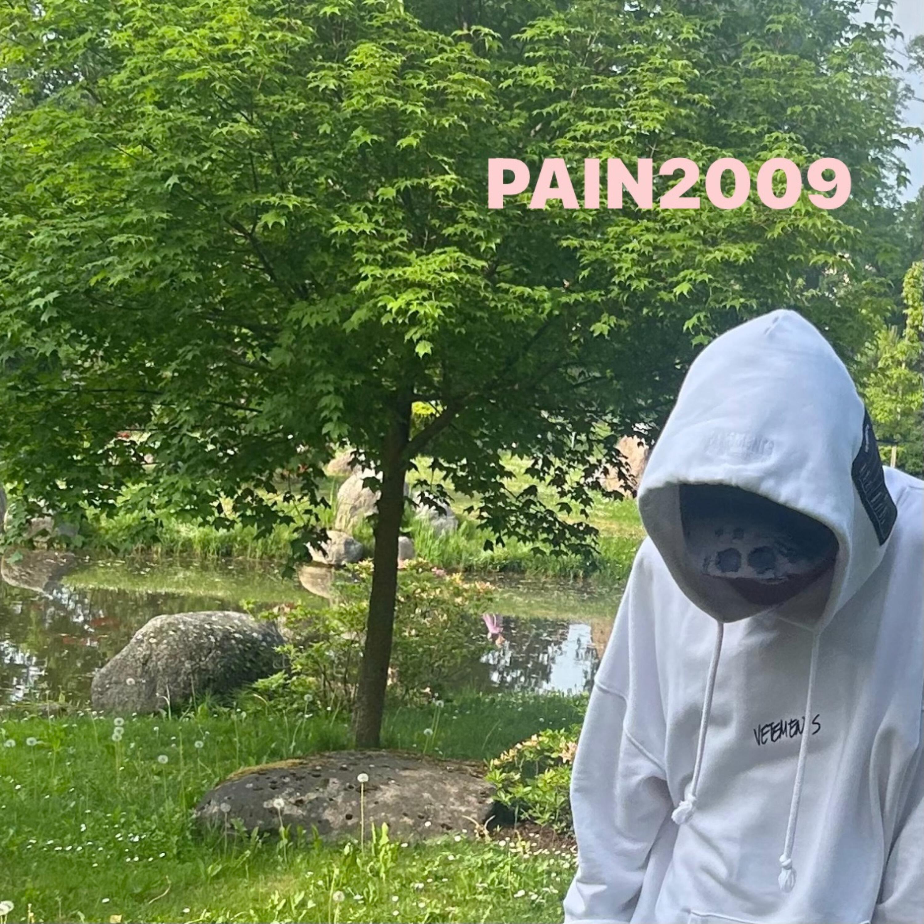 Релиз Pain2009