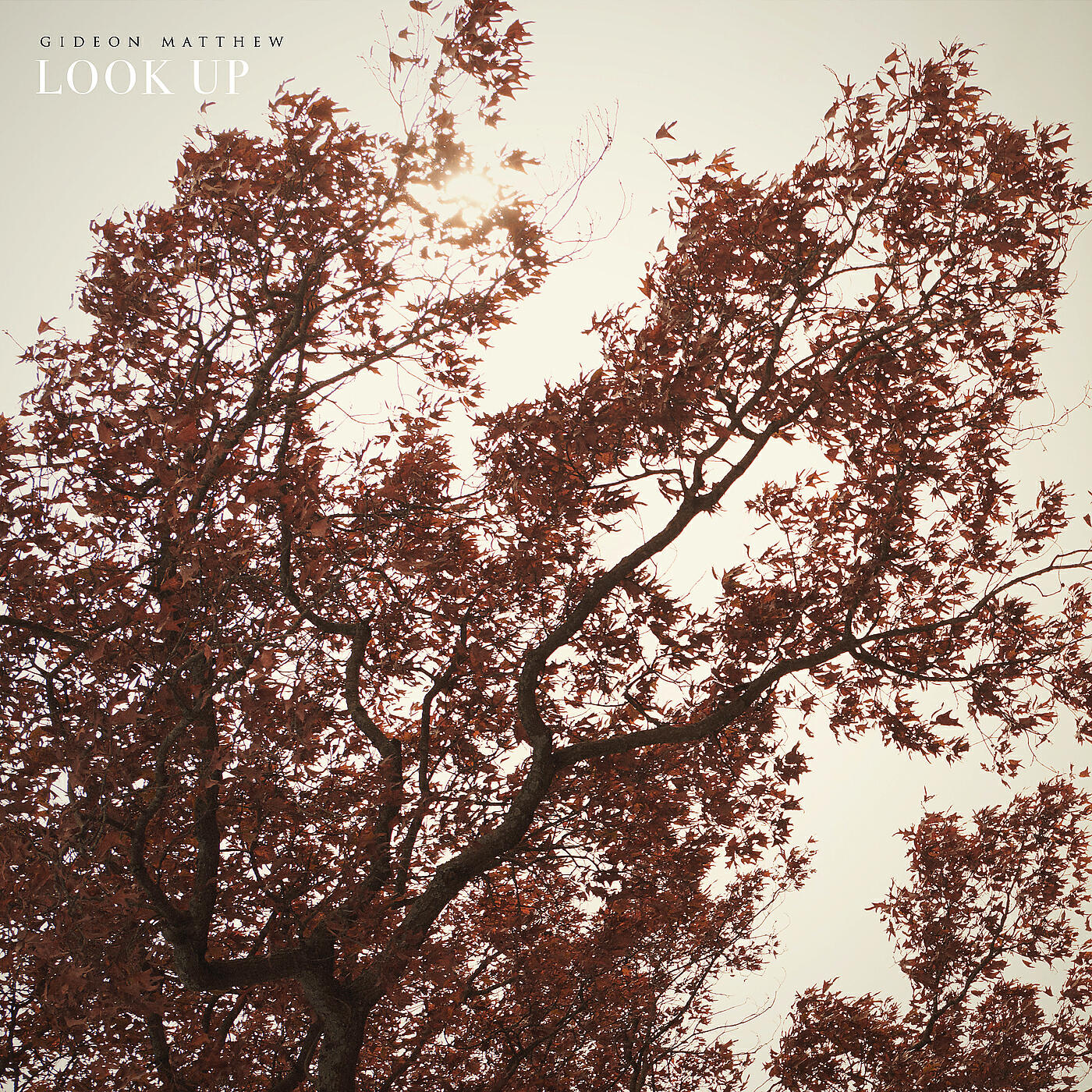 Релиз Look Up