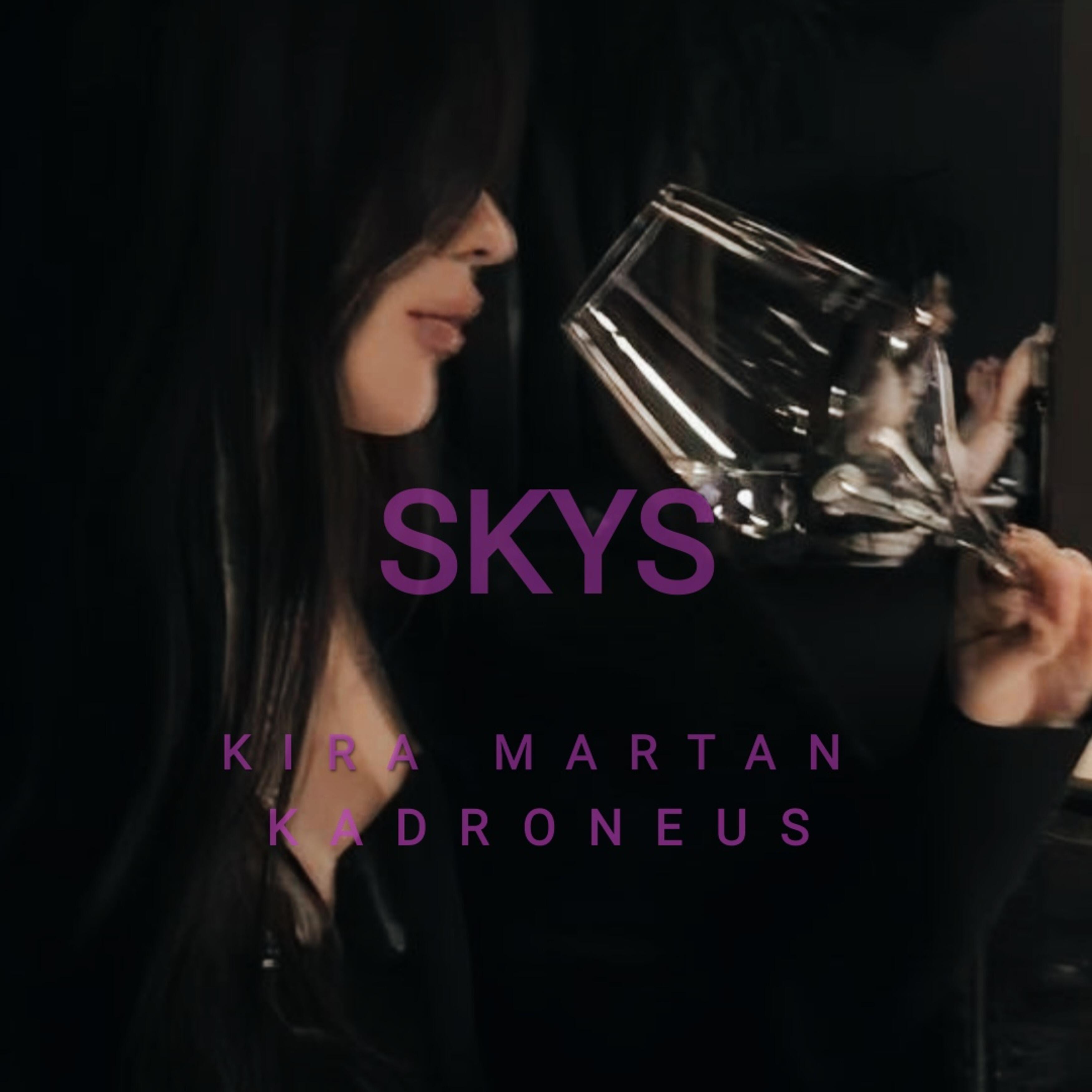 Постер альбома Skys