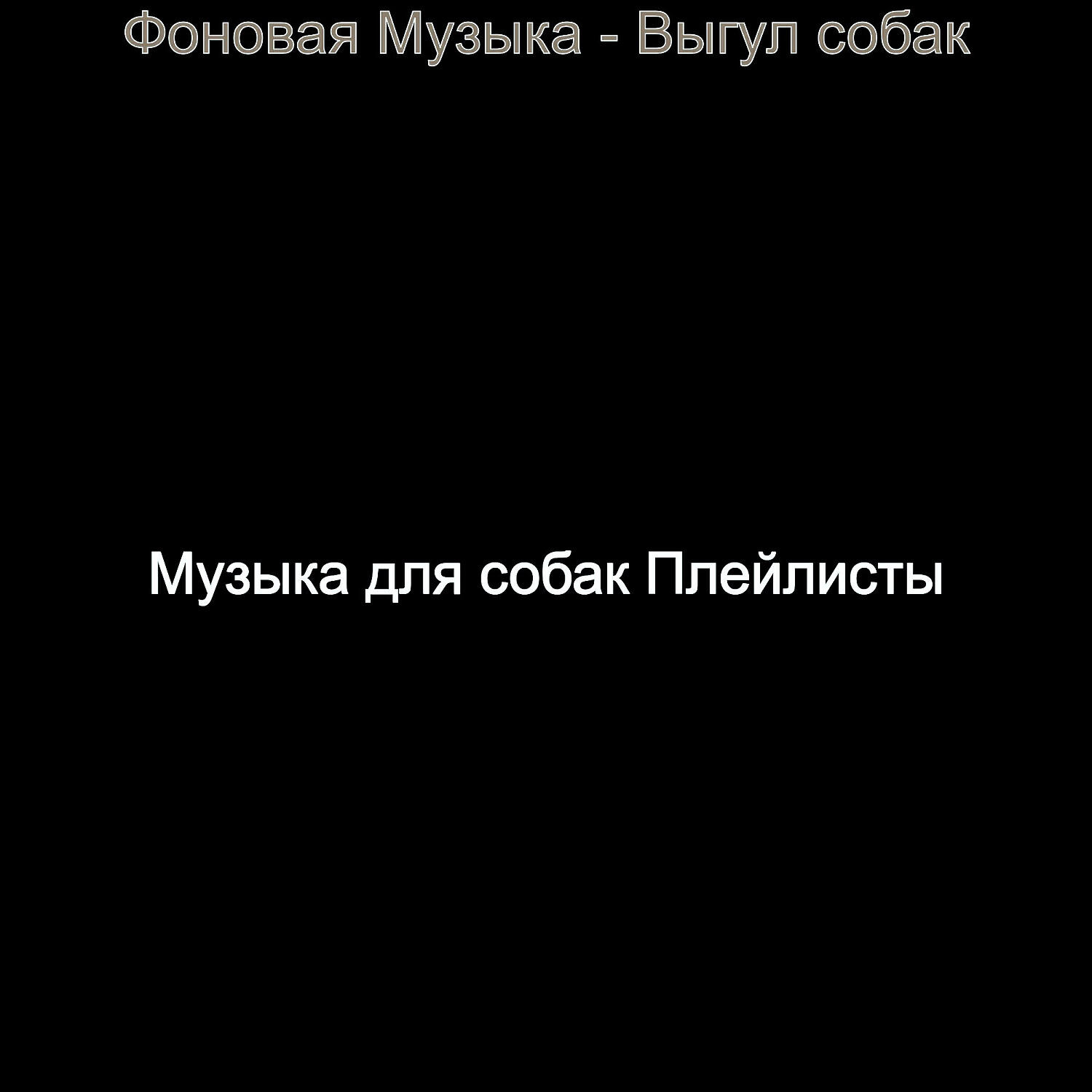 Постер альбома Фоновая Музыка - Выгул собак