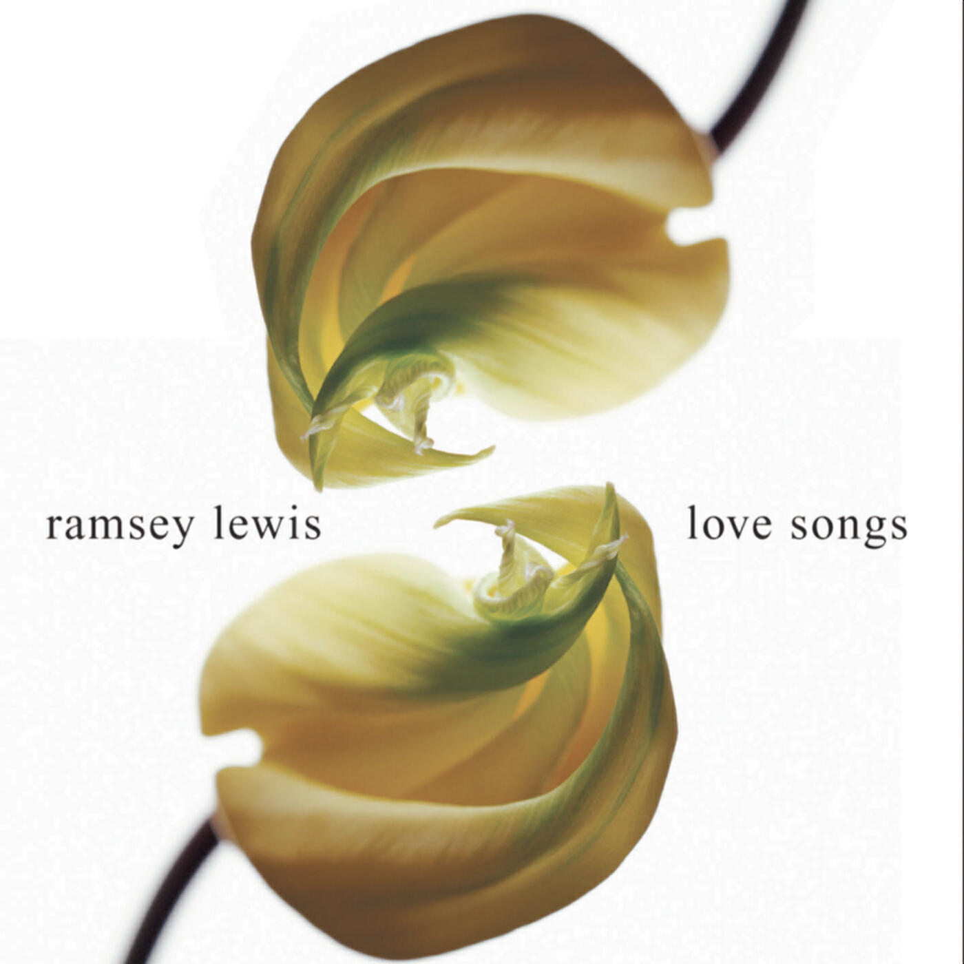 Постер альбома Love Songs