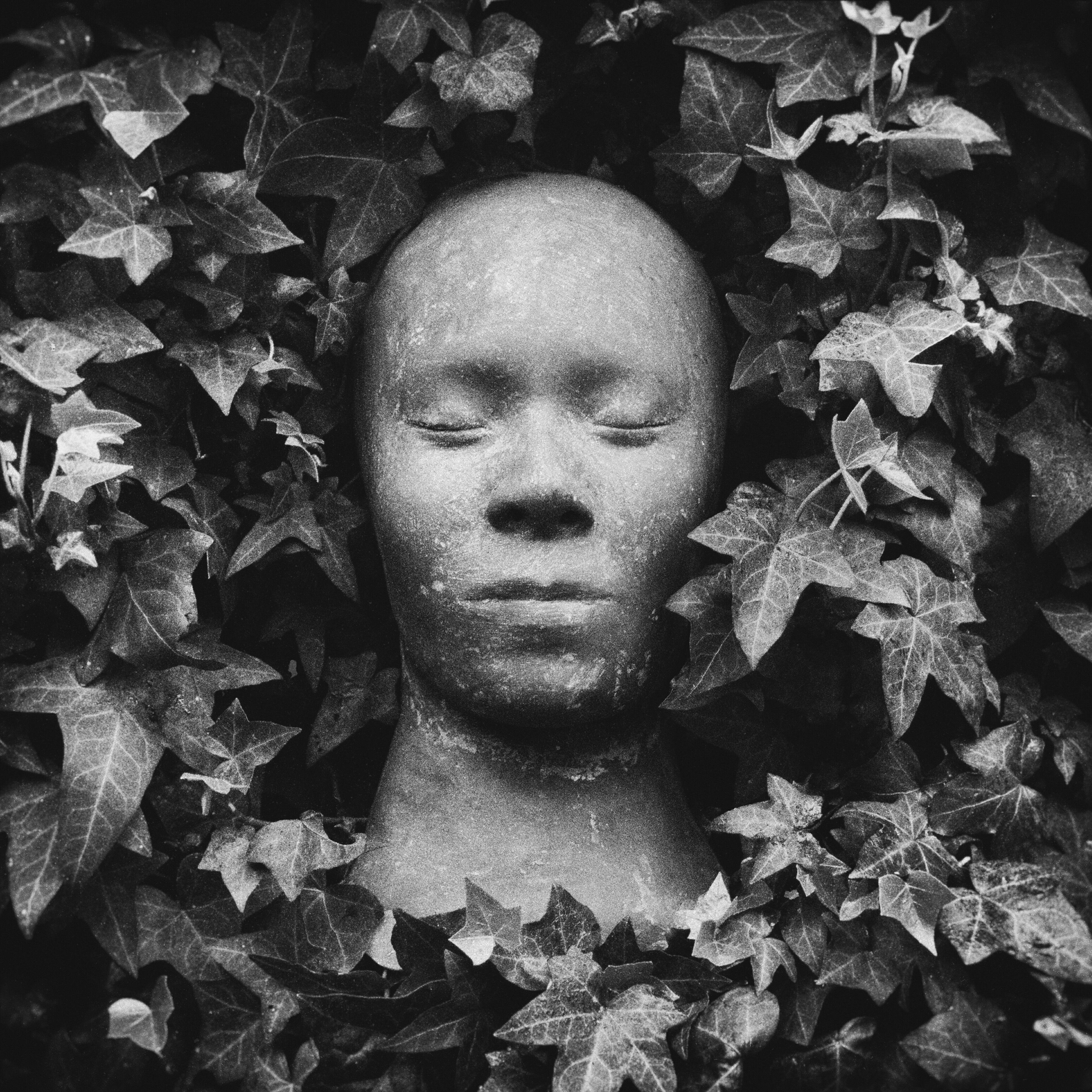 Релиз Quisiera Entender