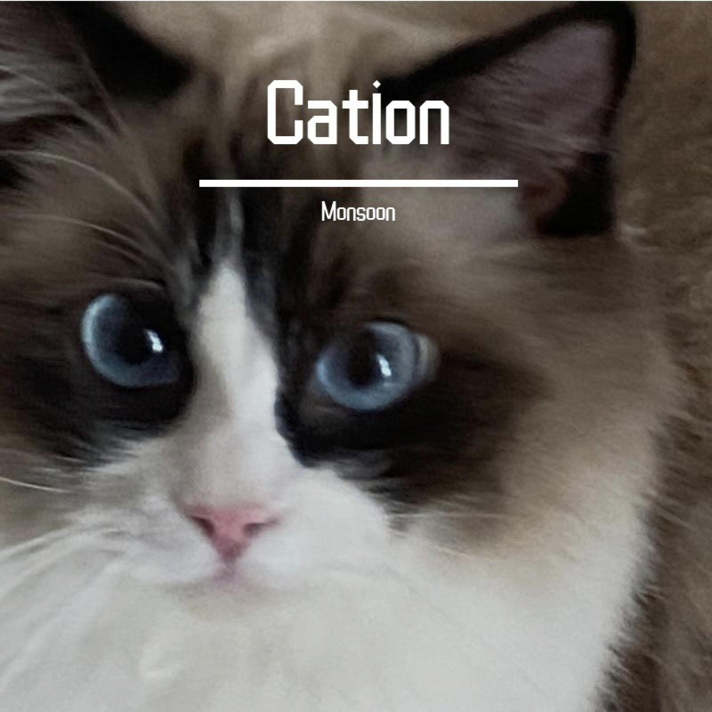Релиз Cation