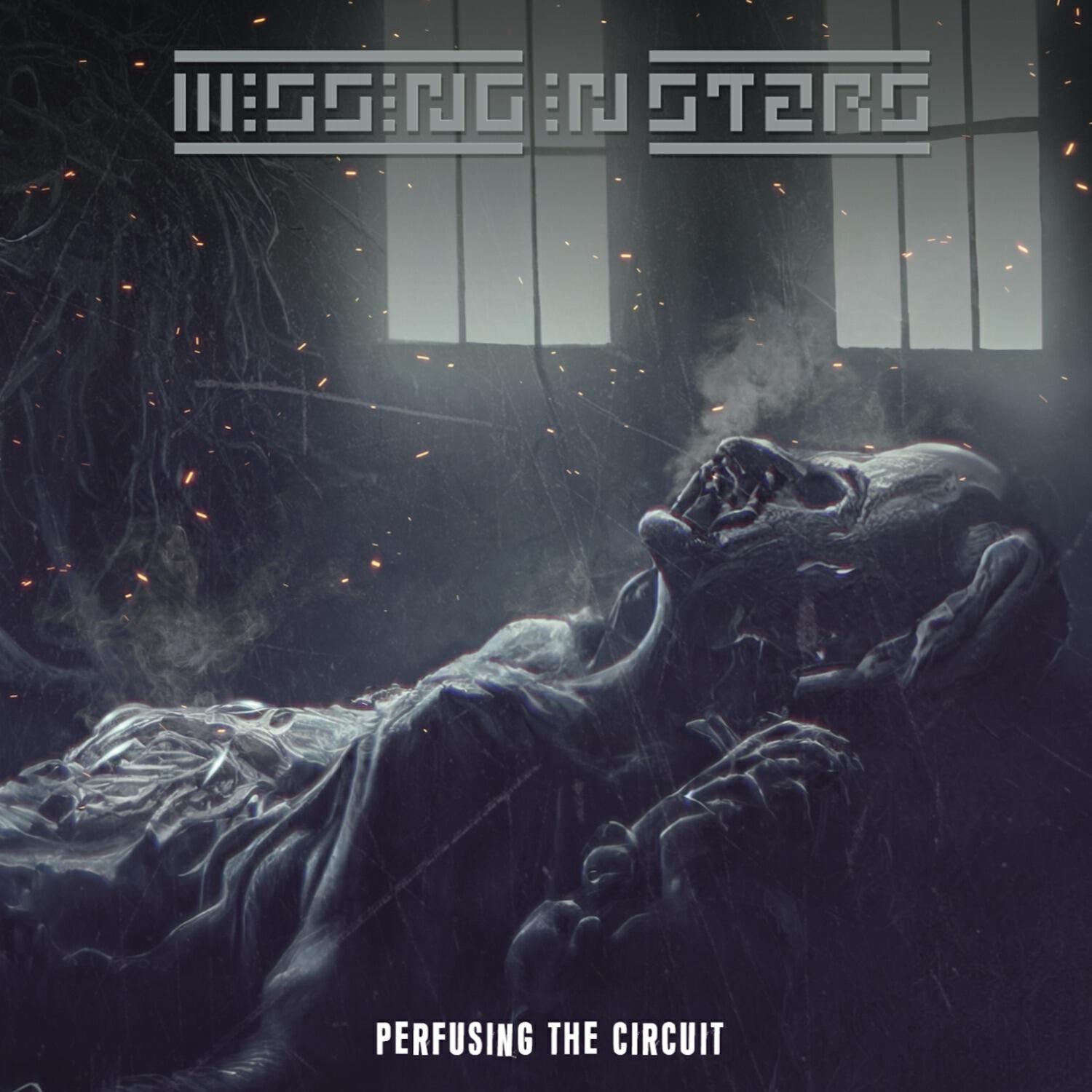 Релиз Perfusing the Circuit