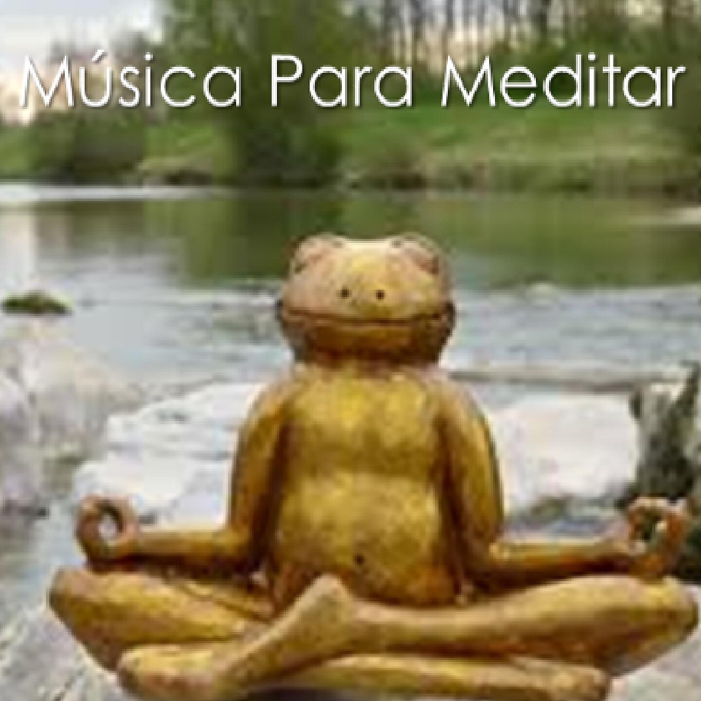 Релиз La Mejor Musica Para Meditar