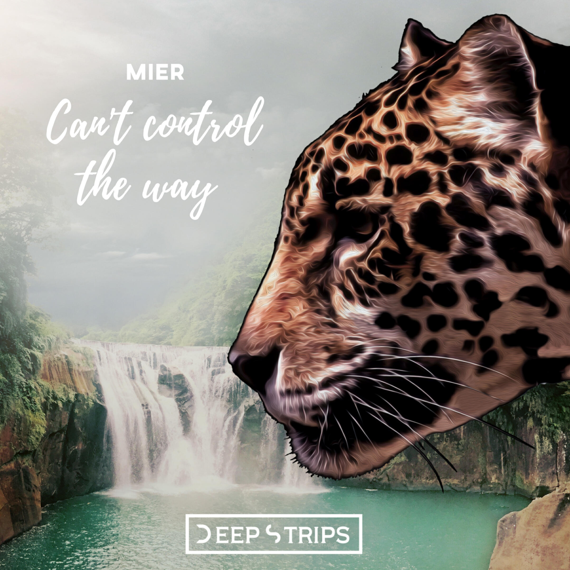 Релиз Cant Control The Way