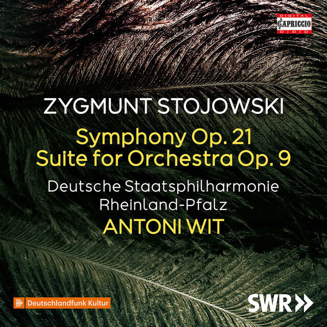 Релиз Stojowski: Symphony in D Minor, Op. 21 & Suite for Large Orchestra in E-Flat Major, Op. 9