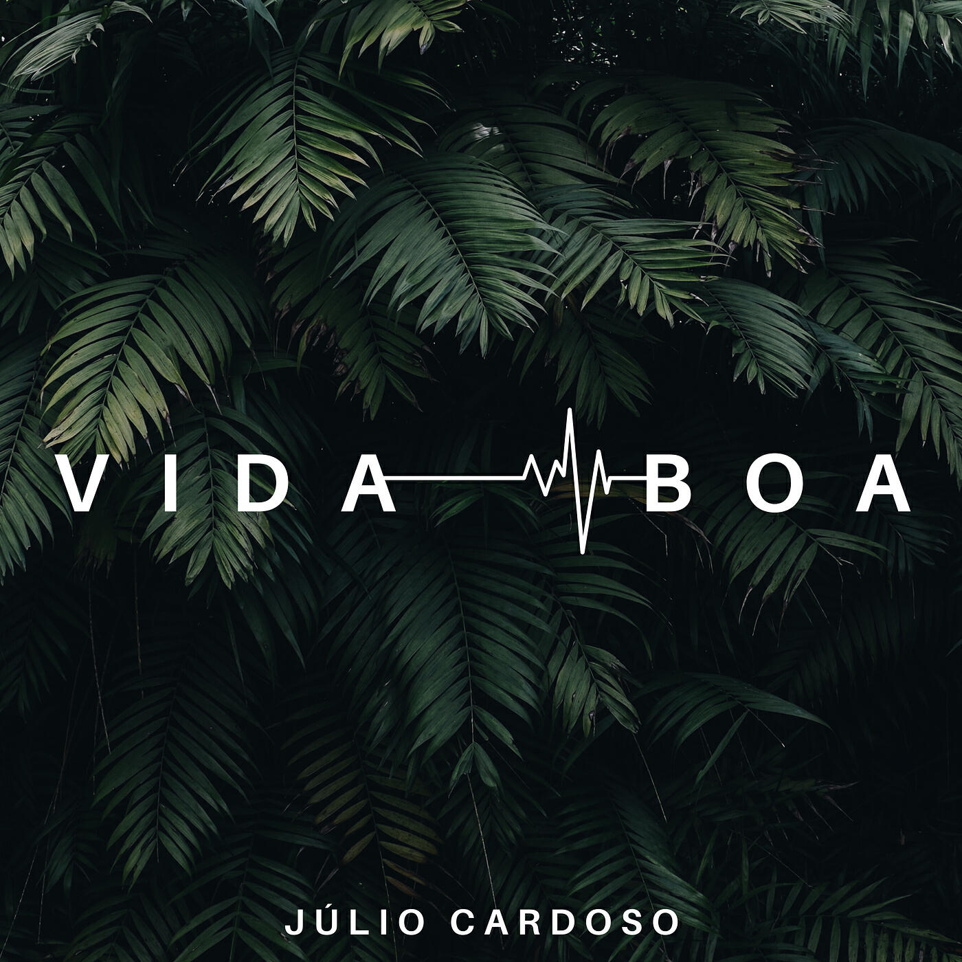 Релиз Vida Boa