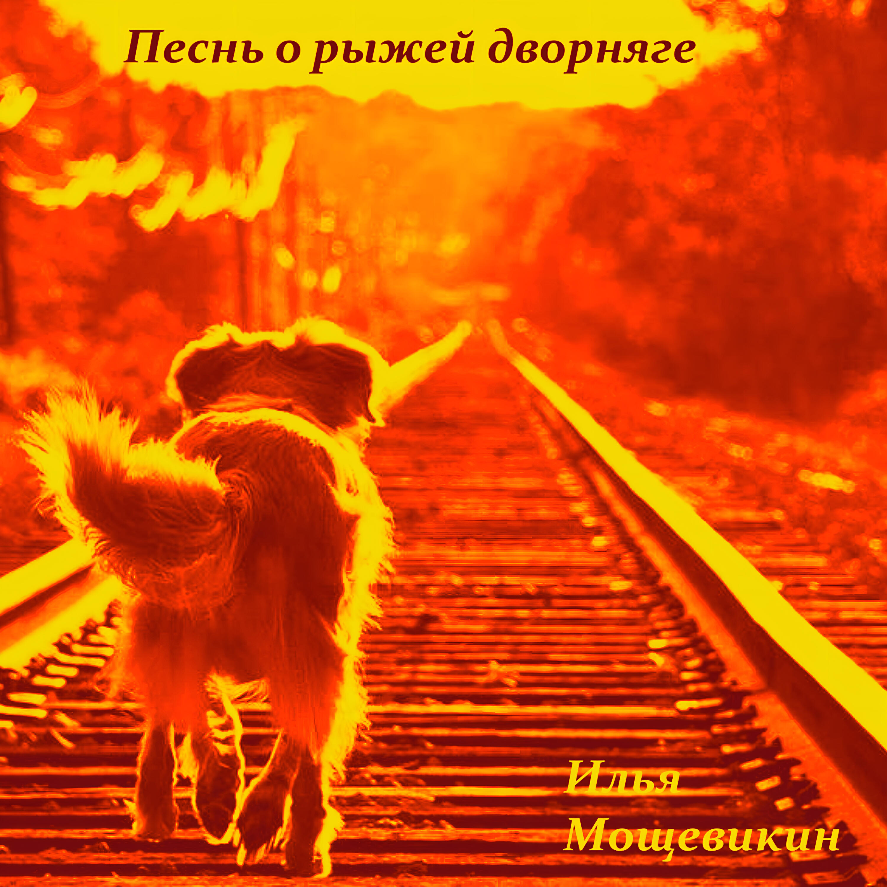 Релиз Песнь о рыжей дворняге