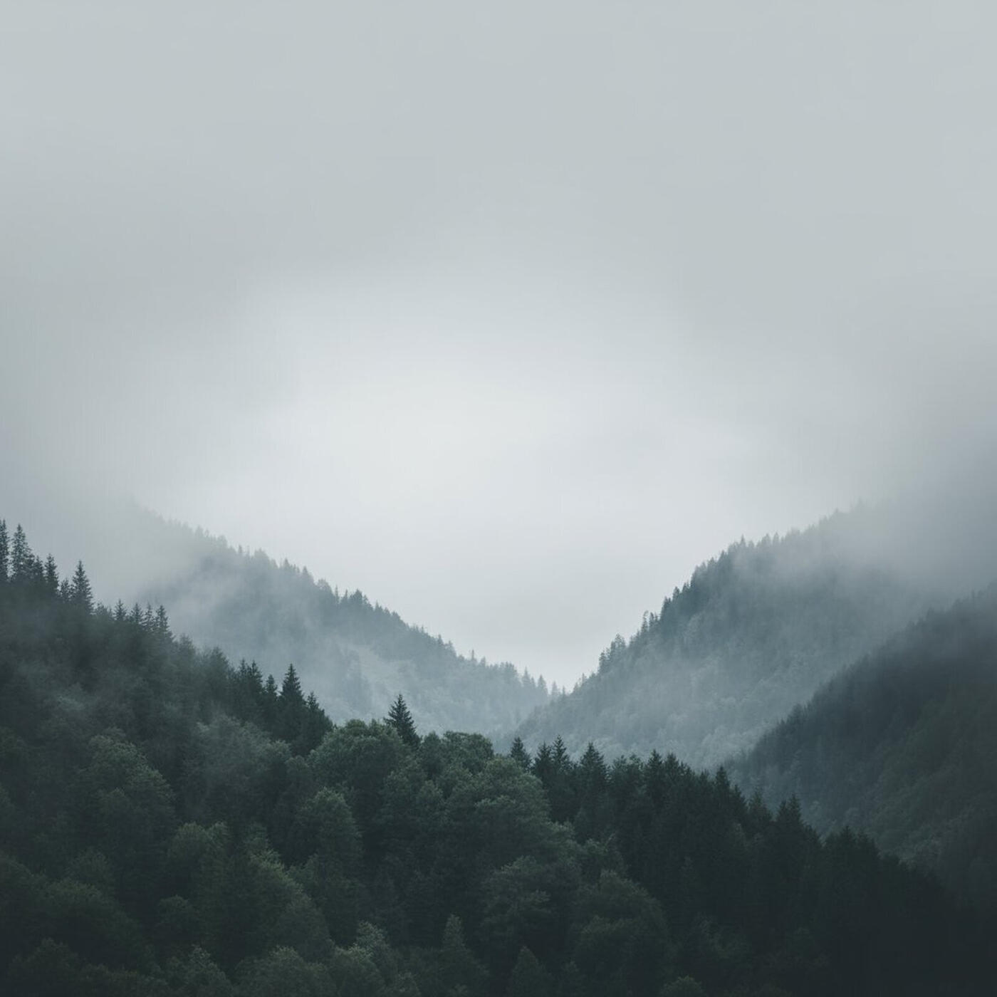 Трек Silent River