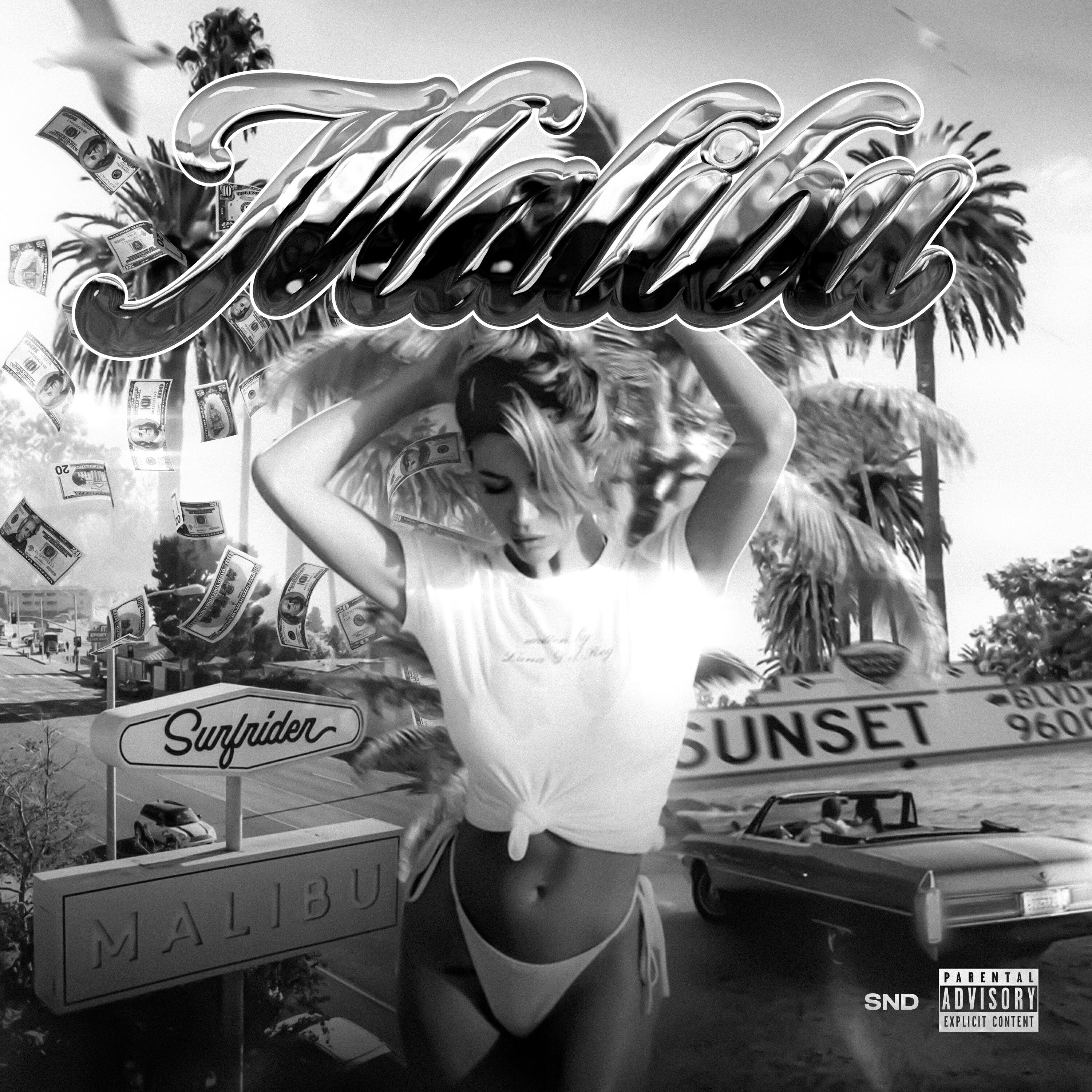 Постер альбома MALIBU