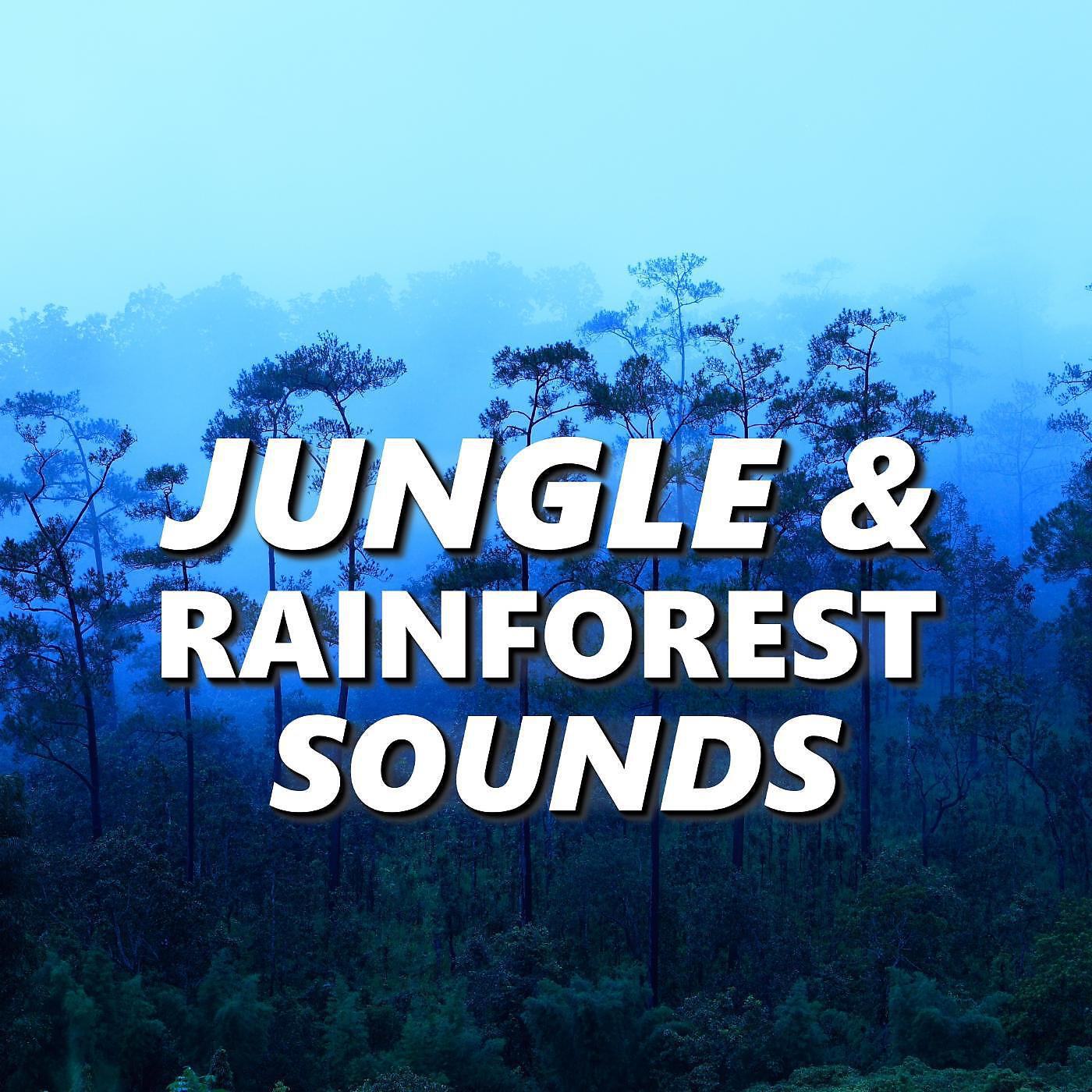 Релиз Jungle & Rainforest Sounds