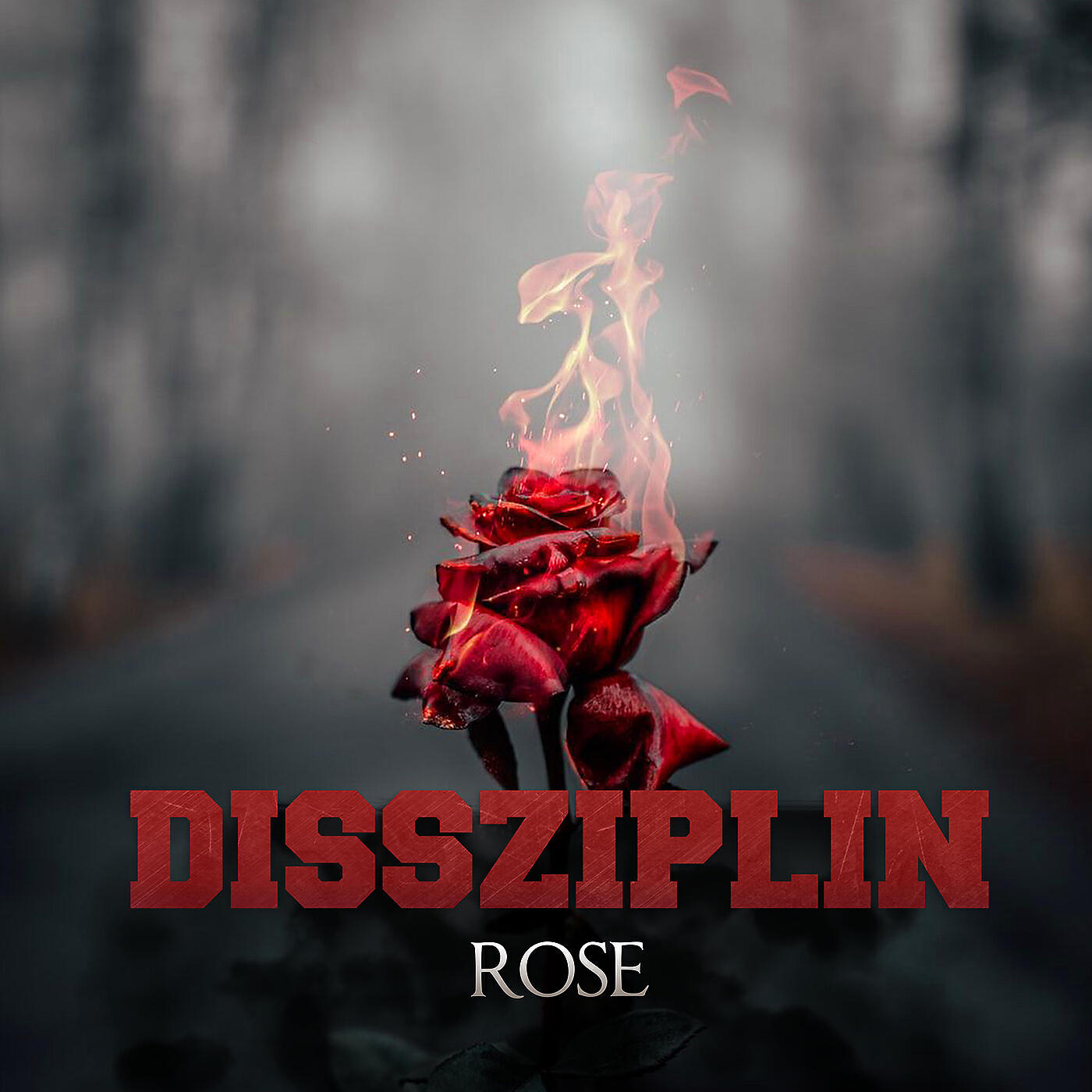 Релиз Rose