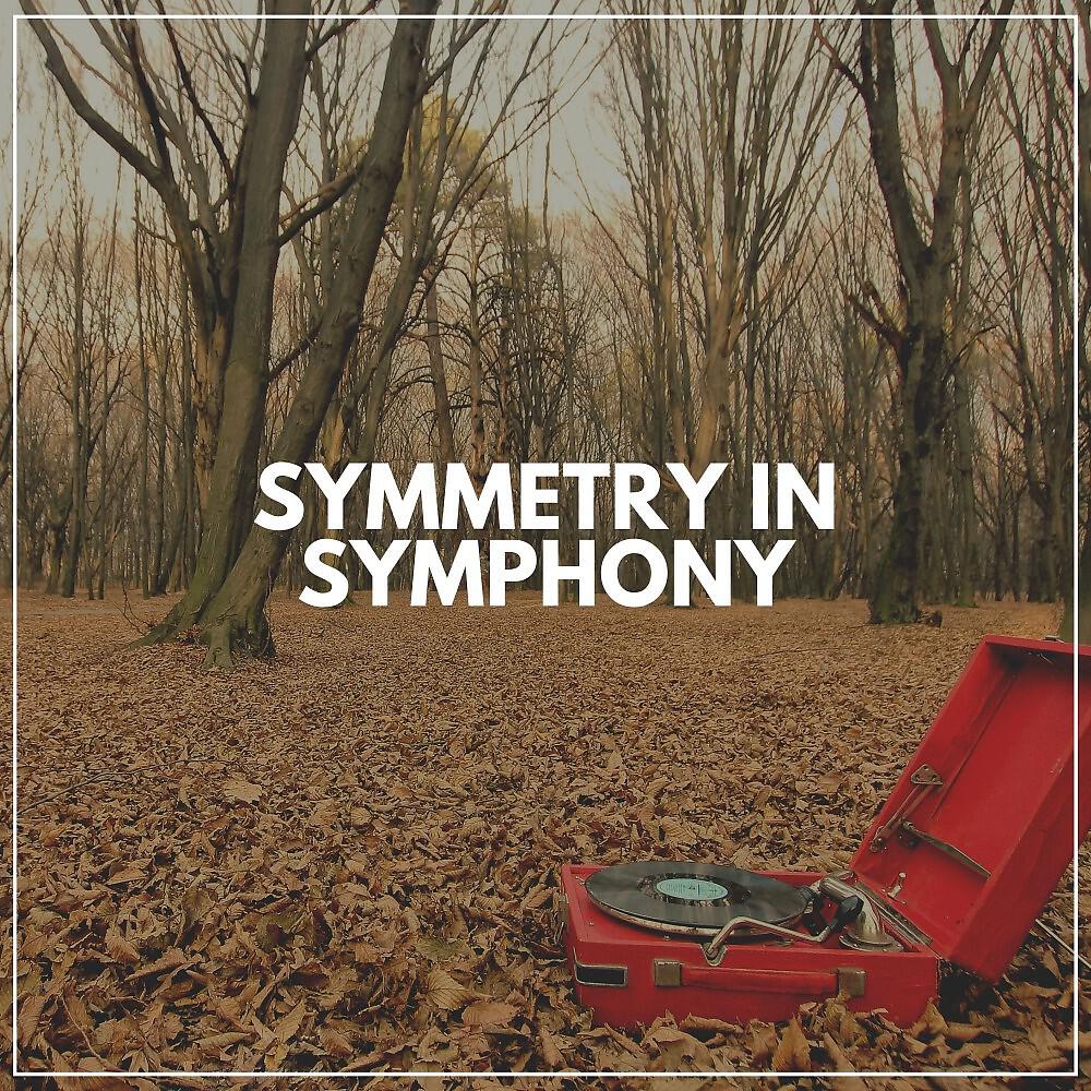 Релиз Symmetry in Symphony