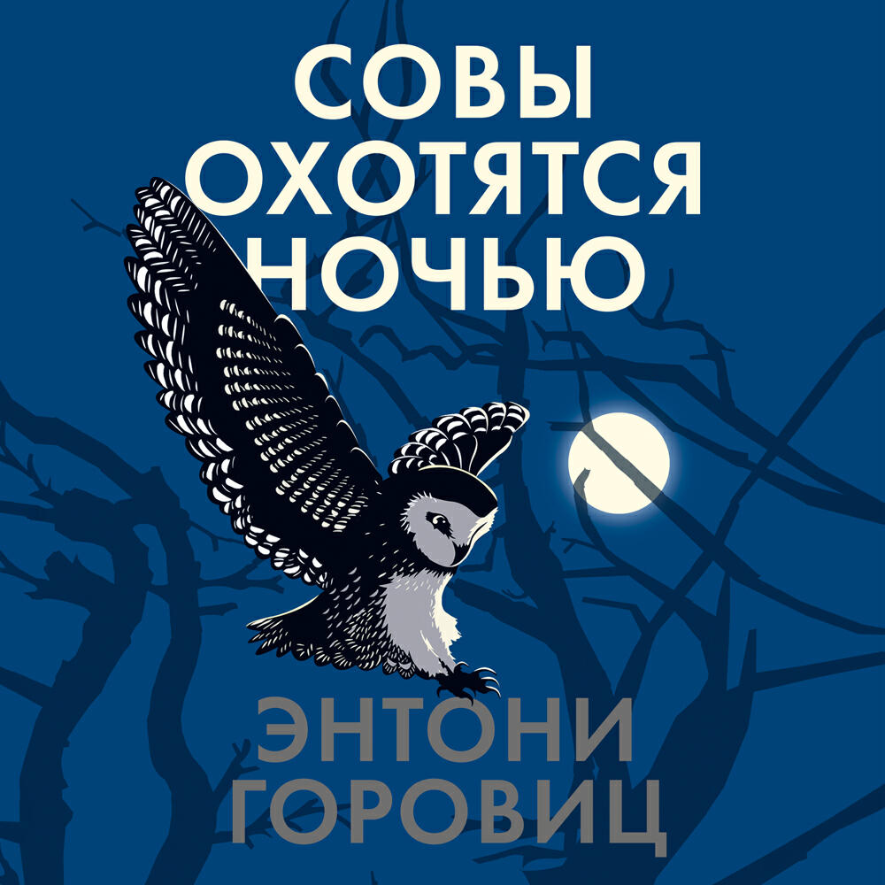 Книга Совы охотятся ночью