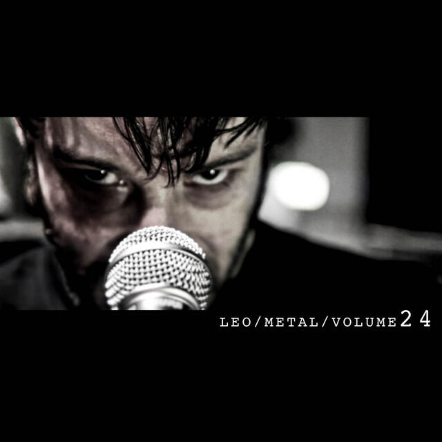 Релиз Leo Metal, Vol. 24