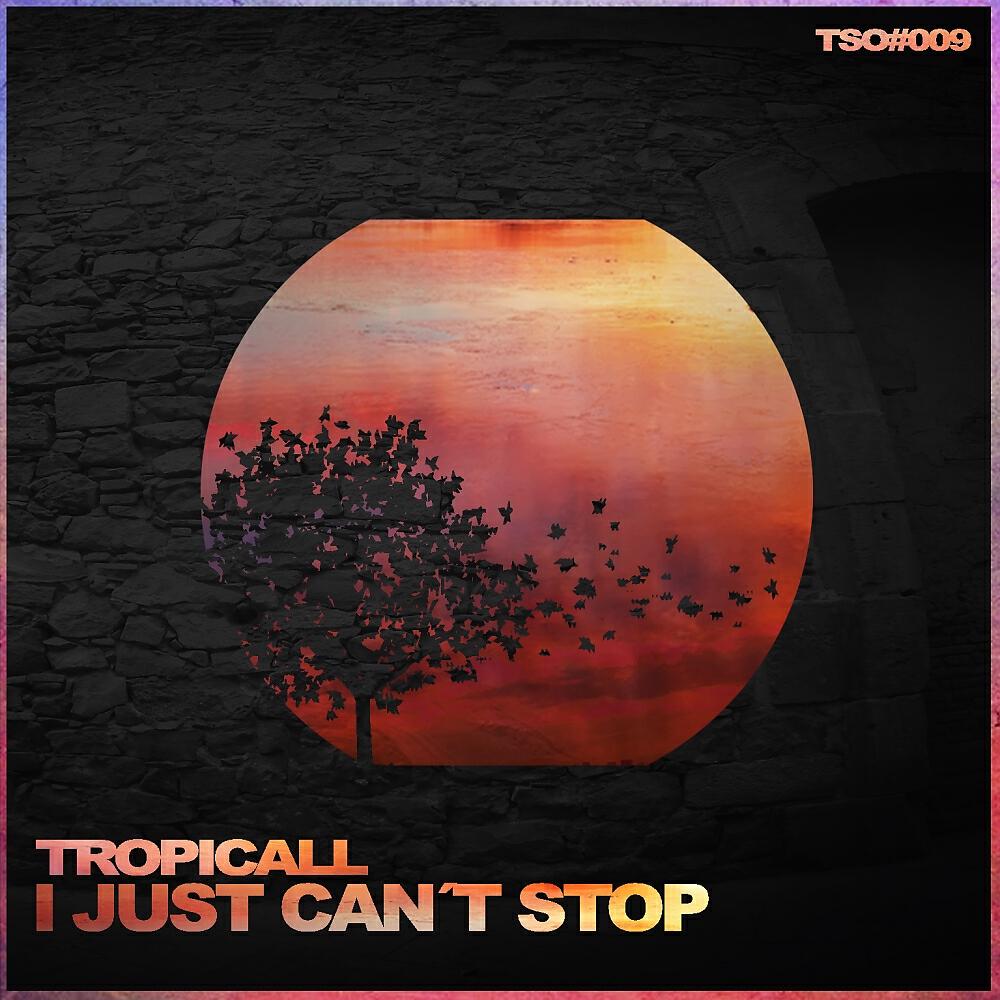 Постер альбома I Just Can't Stop